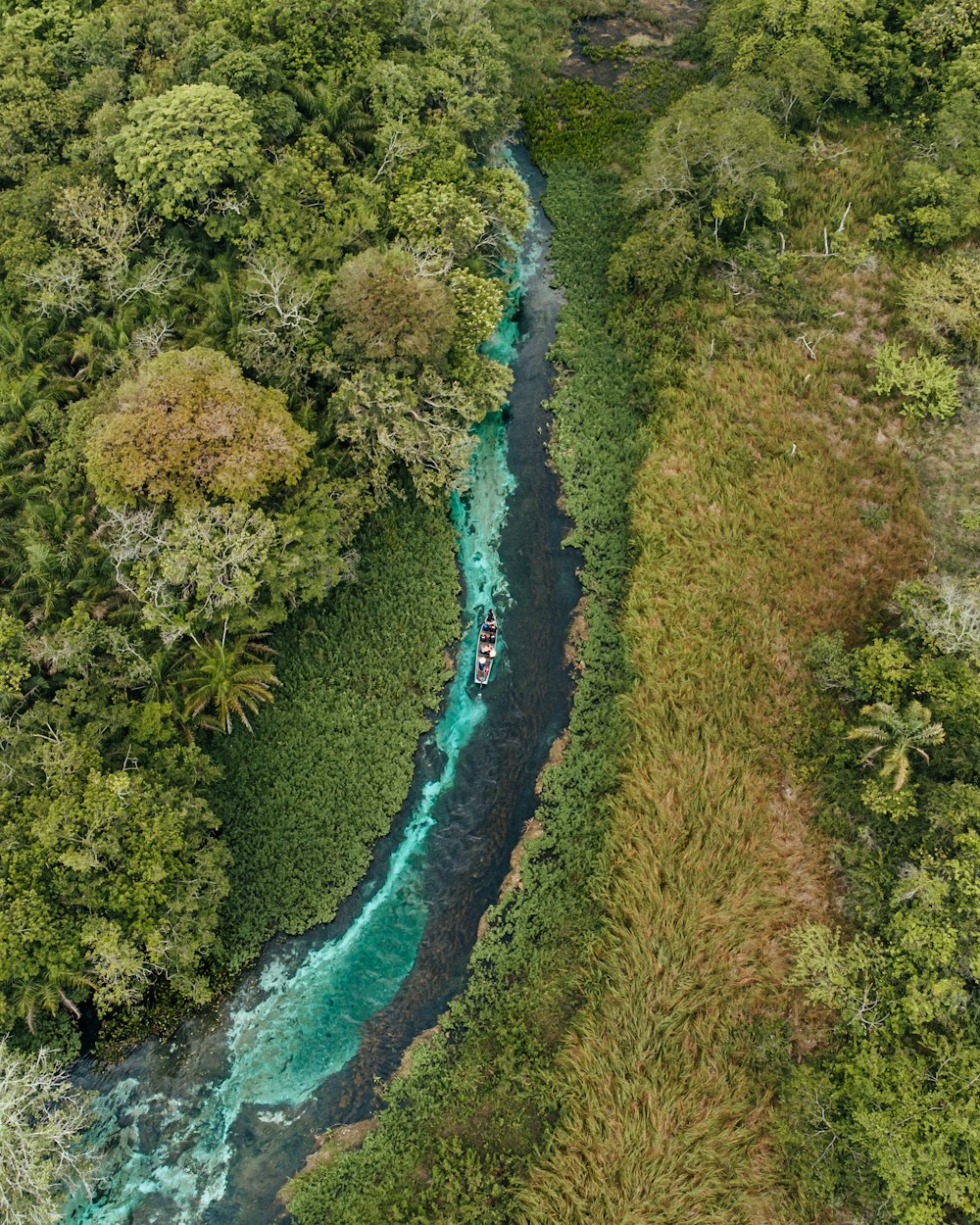 un río con un barco en él