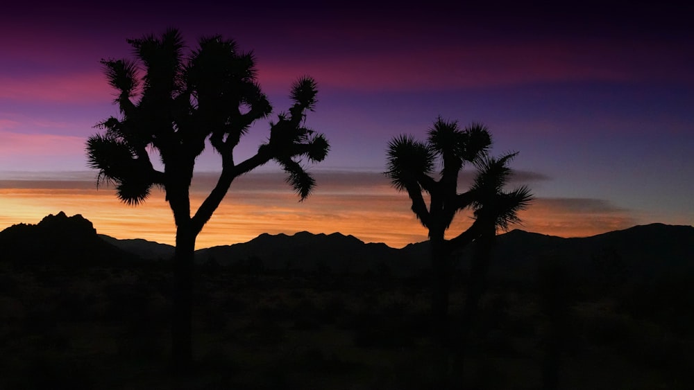 a sunset over a desert