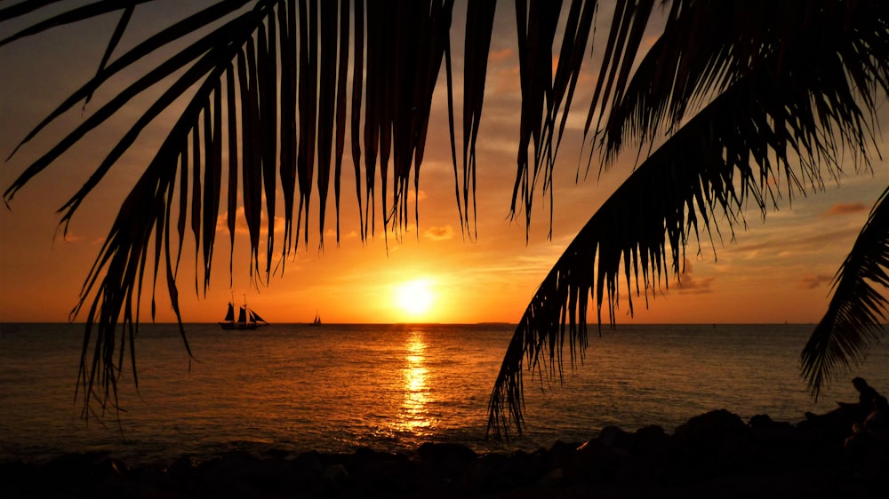 a sunset over a tropical beach