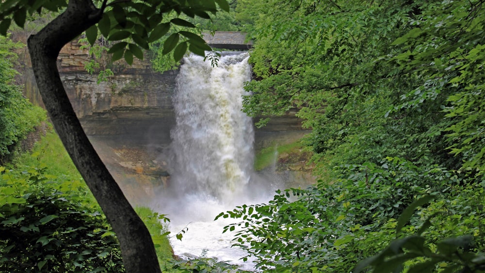 a waterfall in a forest