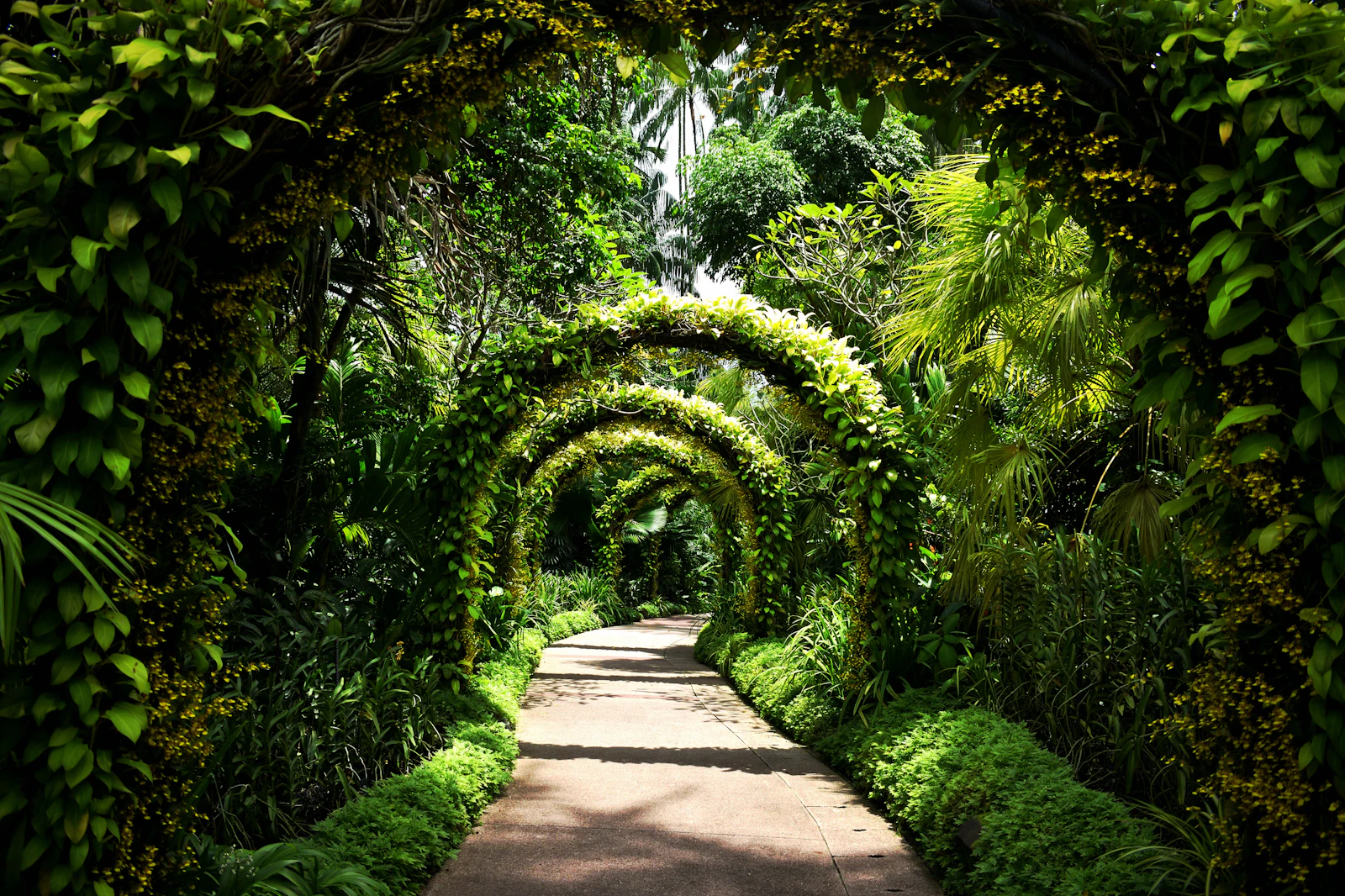 The St. Regis Singapore Completes a Botanic Gardens-Inspired Renovation With New Restaurant Sophia