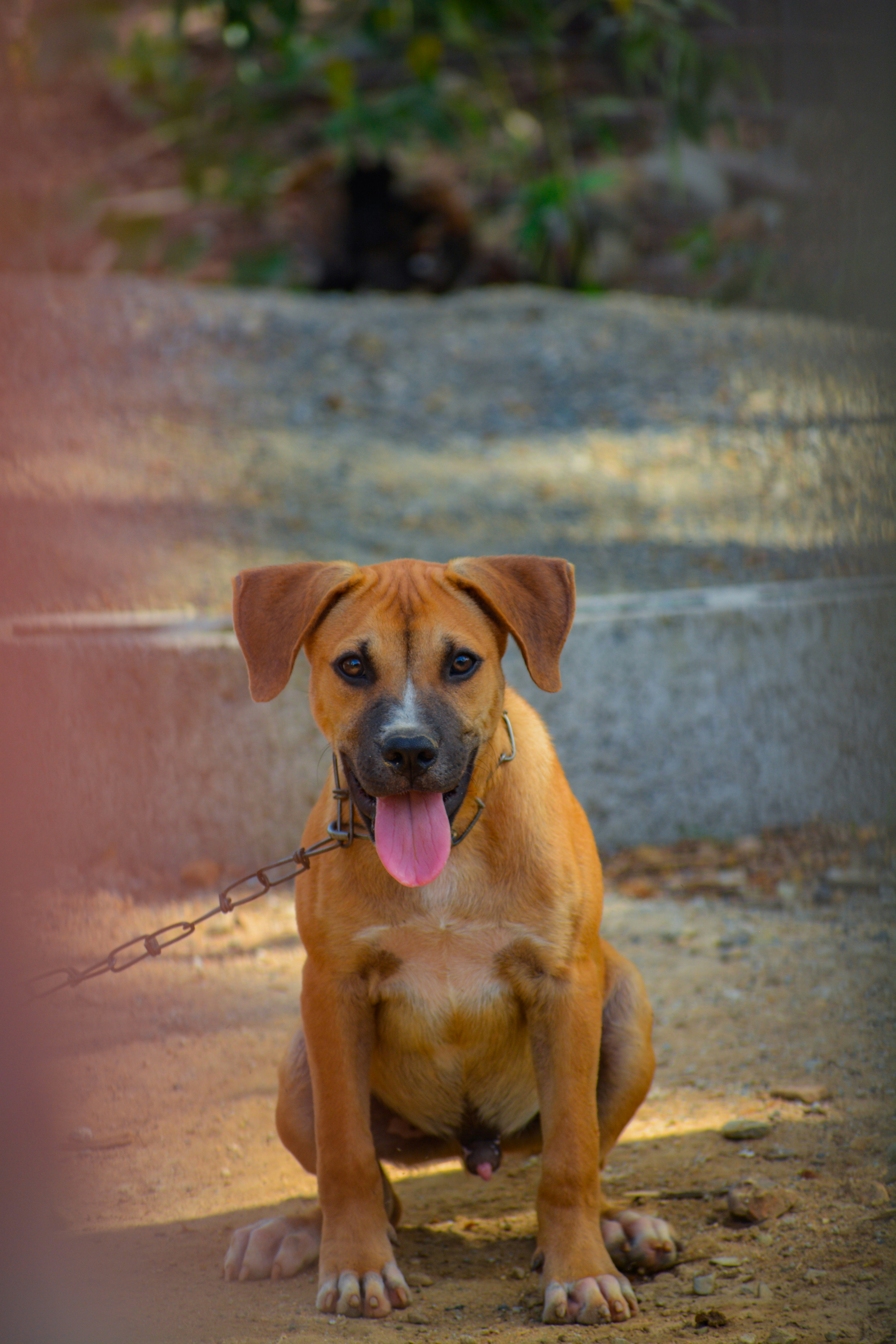 Photo by guzman123456