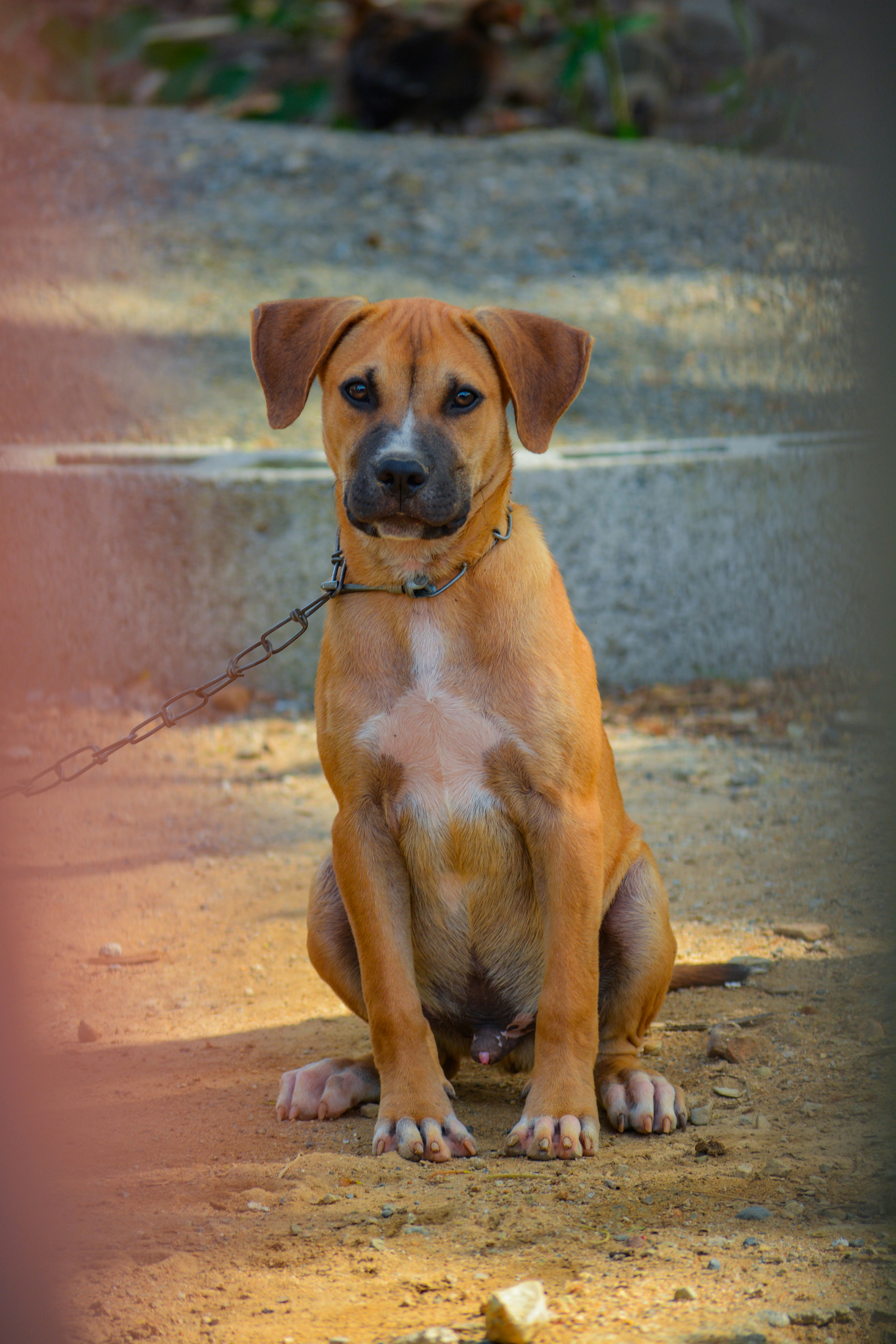 Photo by guzman123456