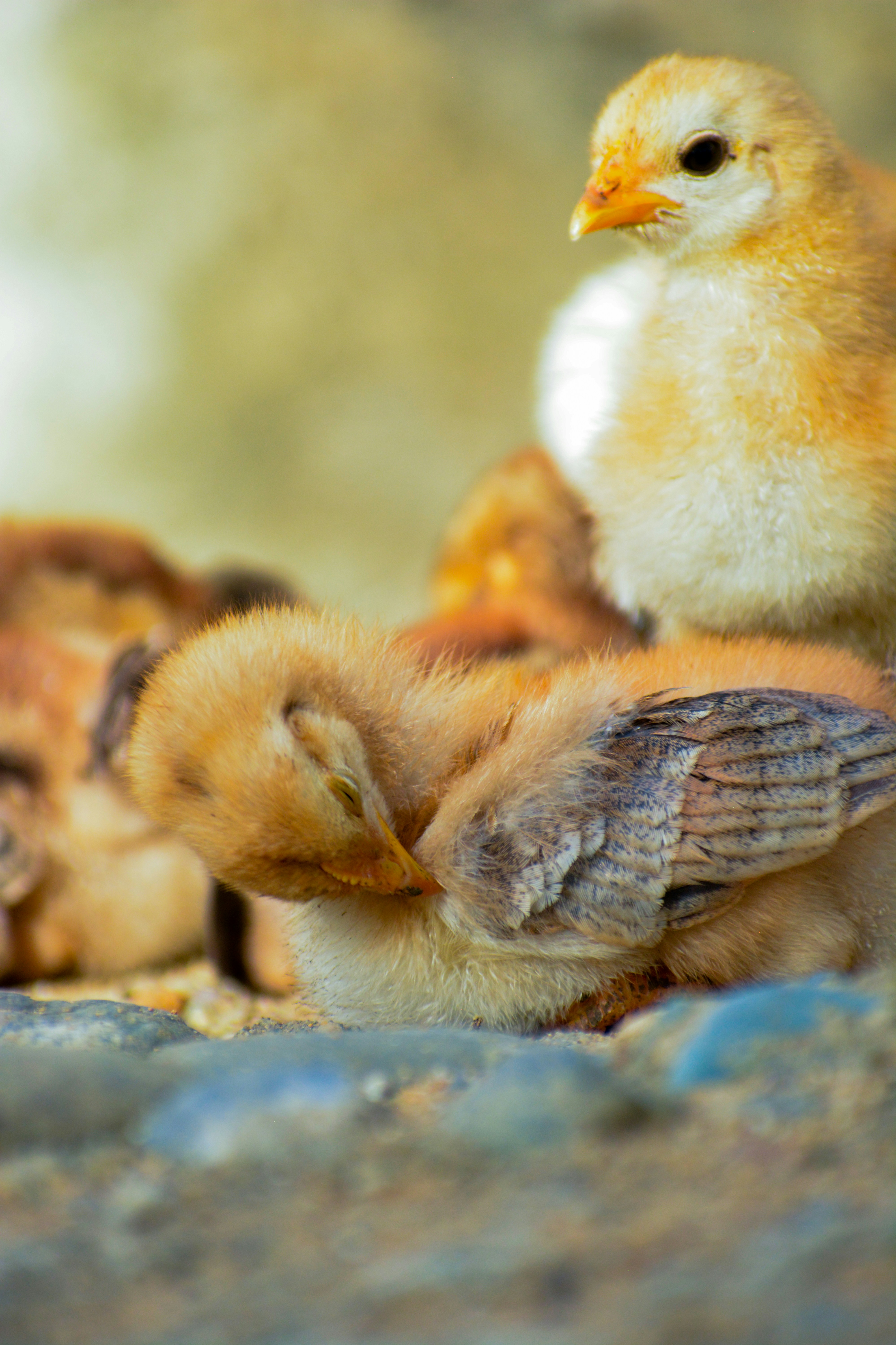 Photo by guzman123456