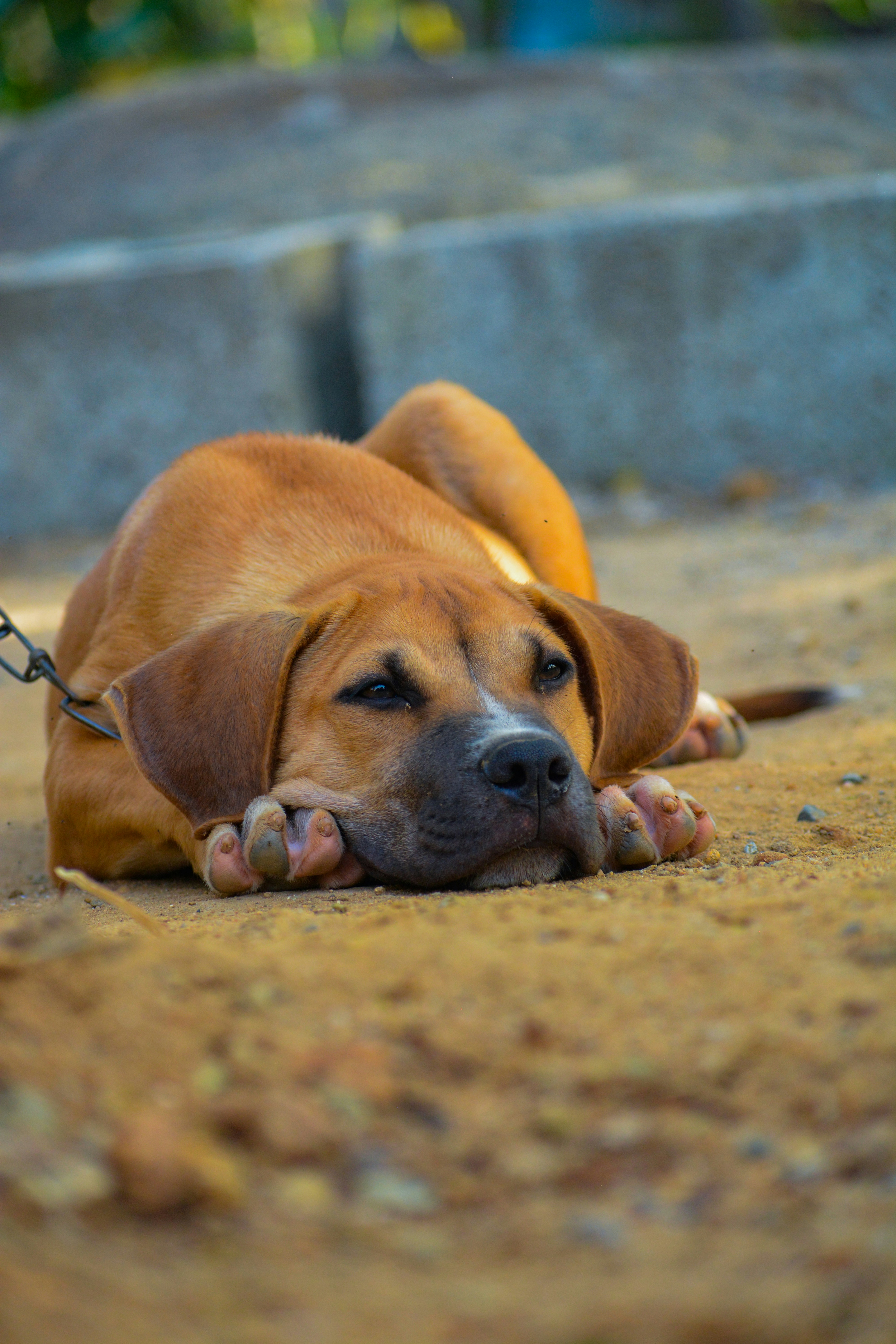 Photo by guzman123456