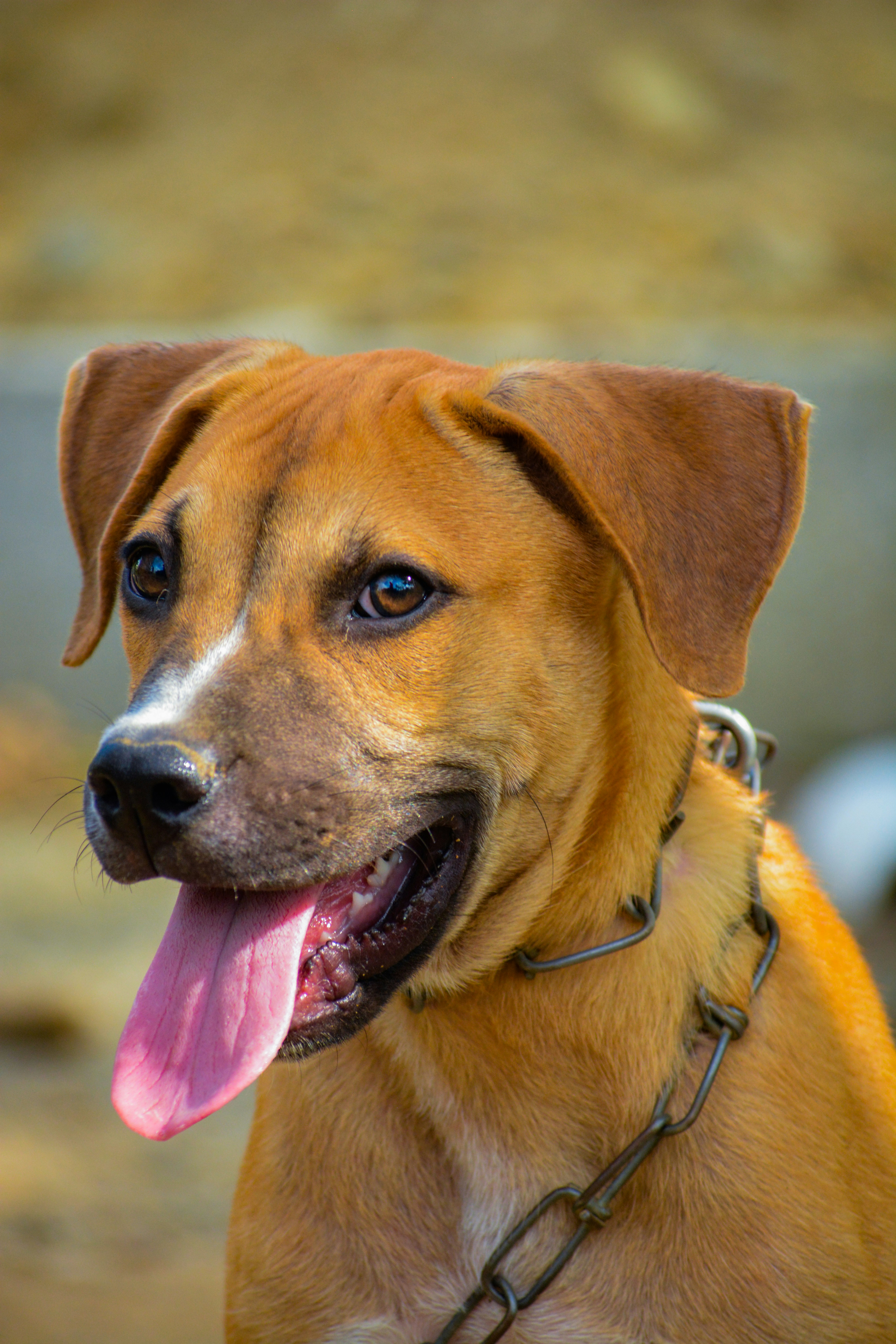 Photo by guzman123456