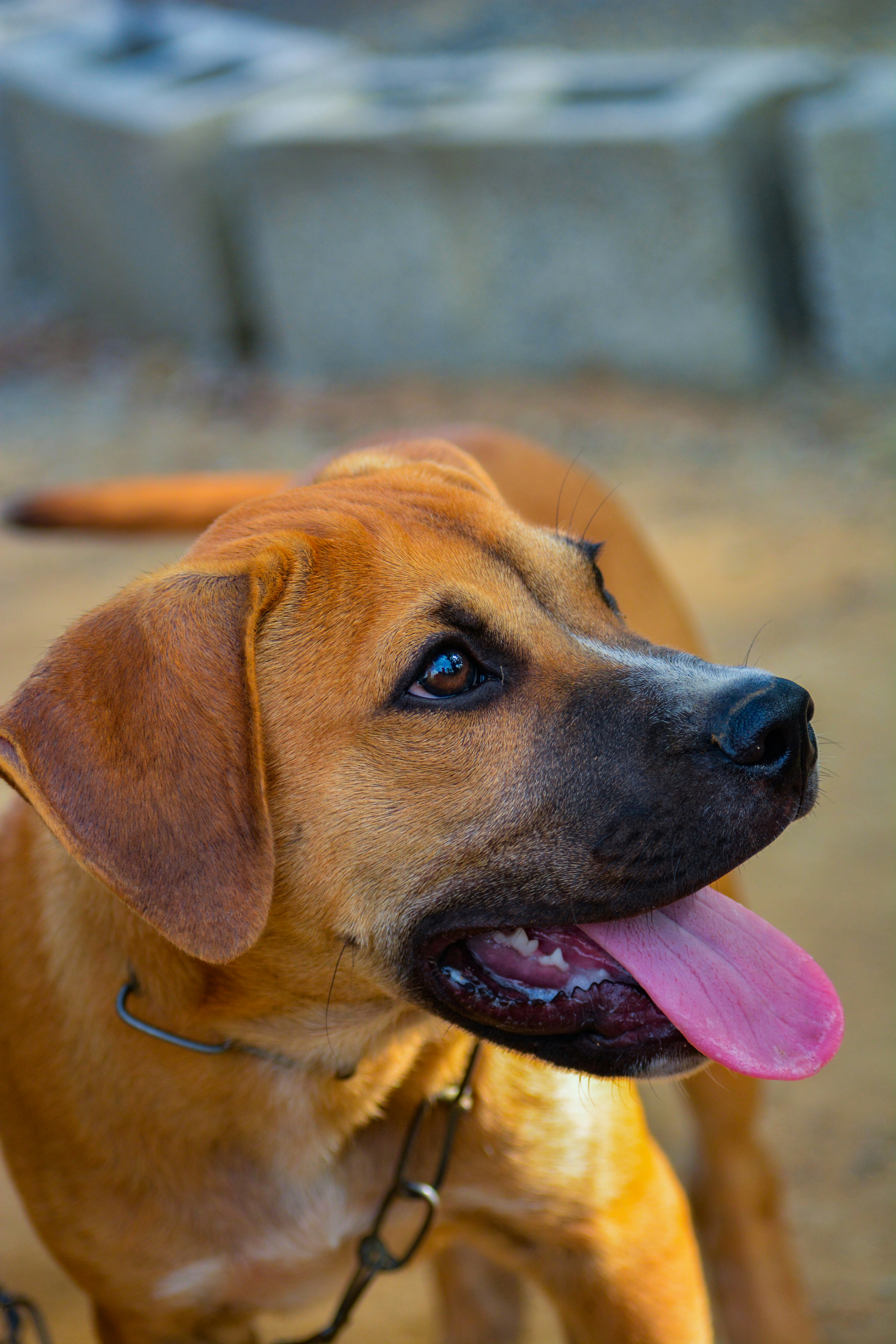 Photo by guzman123456