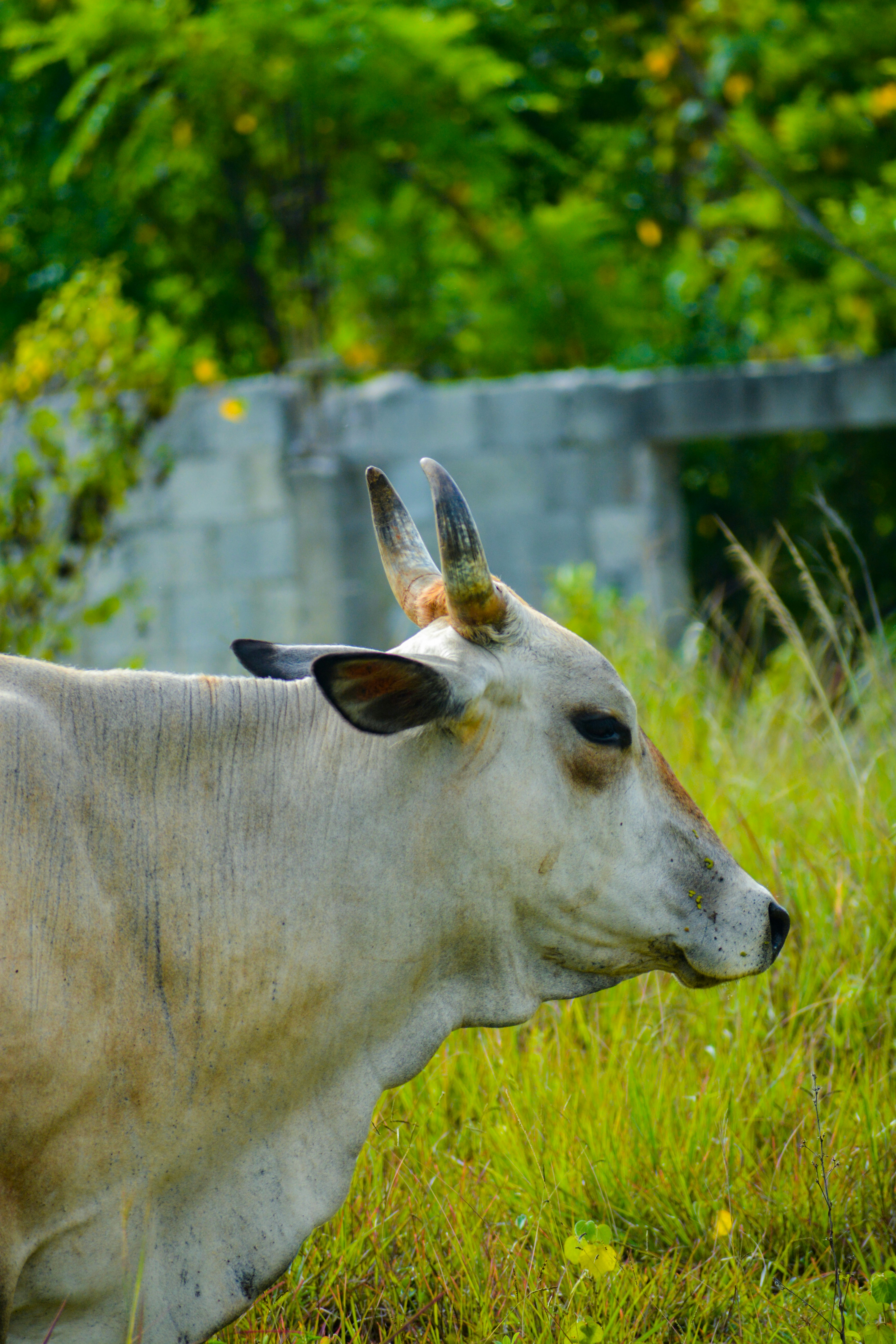 Photo by guzman123456