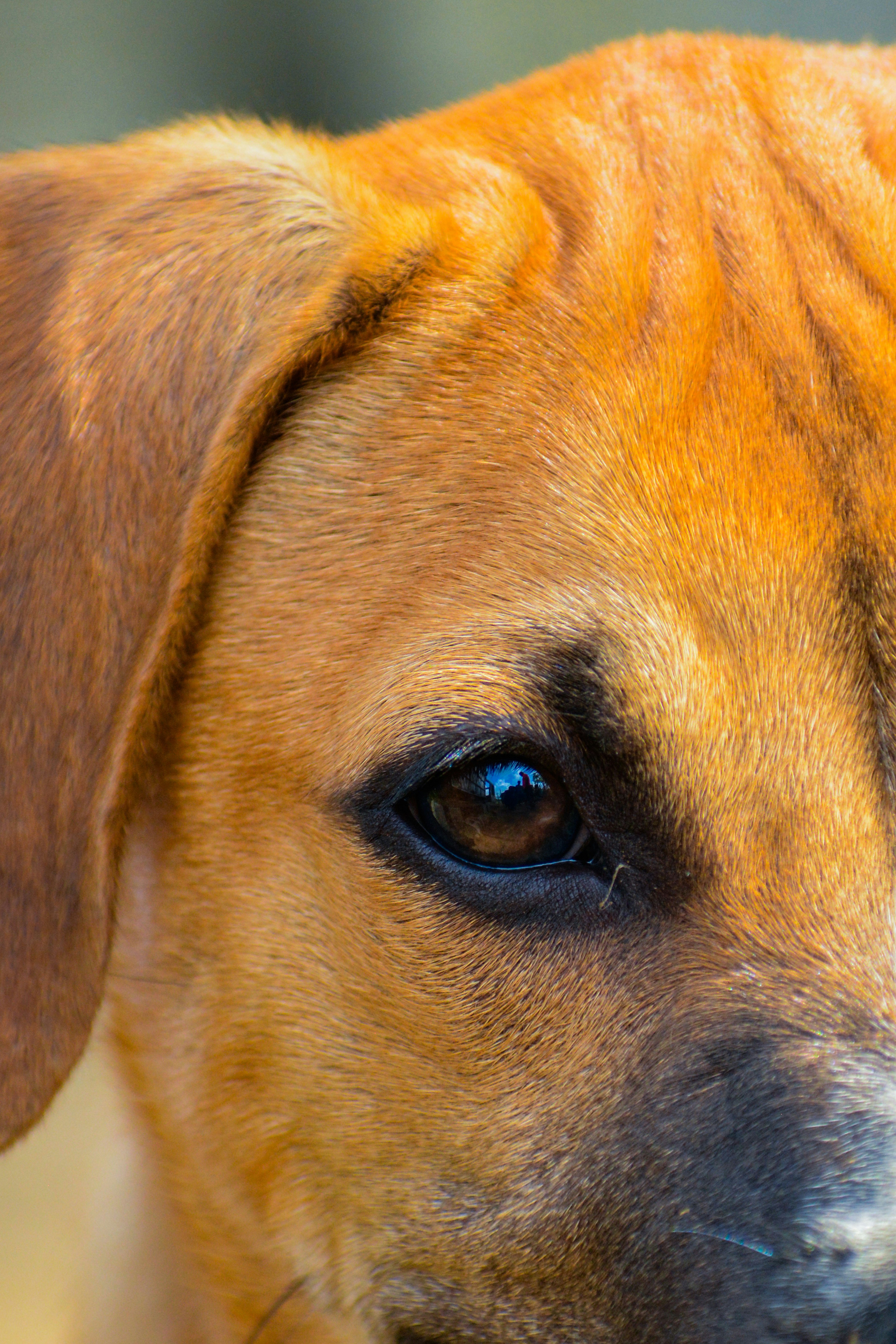 Photo by guzman123456