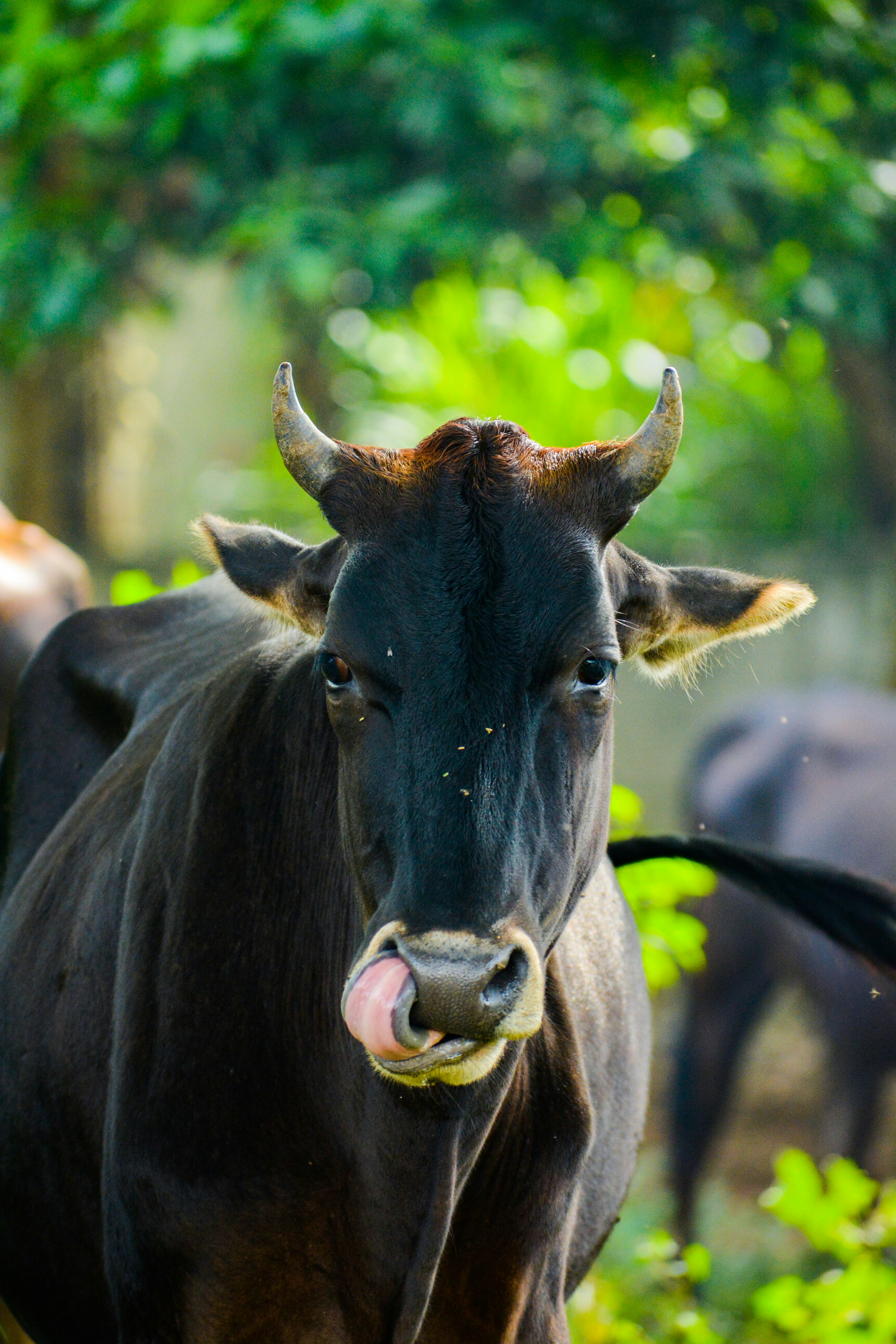 Photo by guzman123456