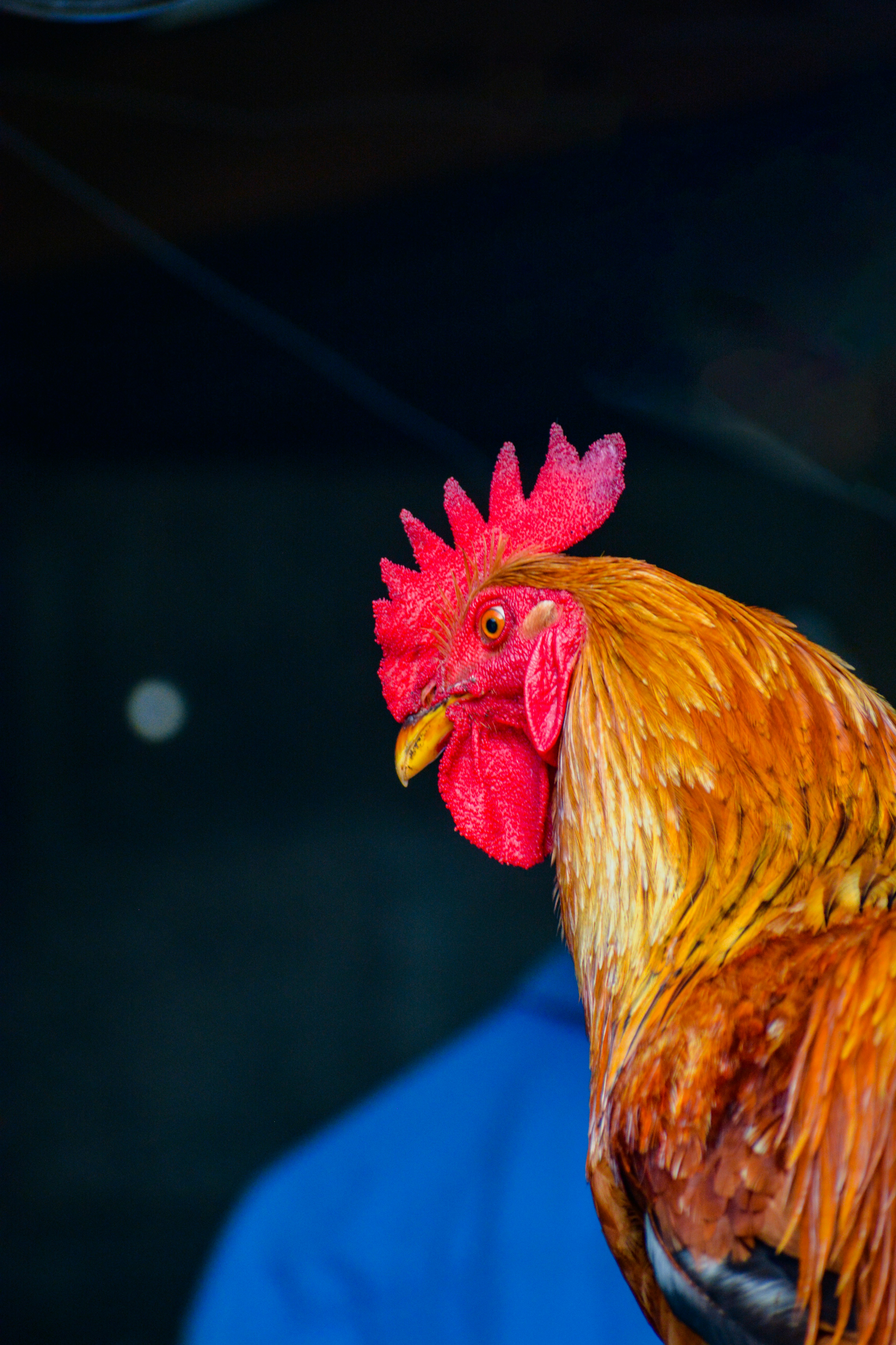 Photo by guzman123456