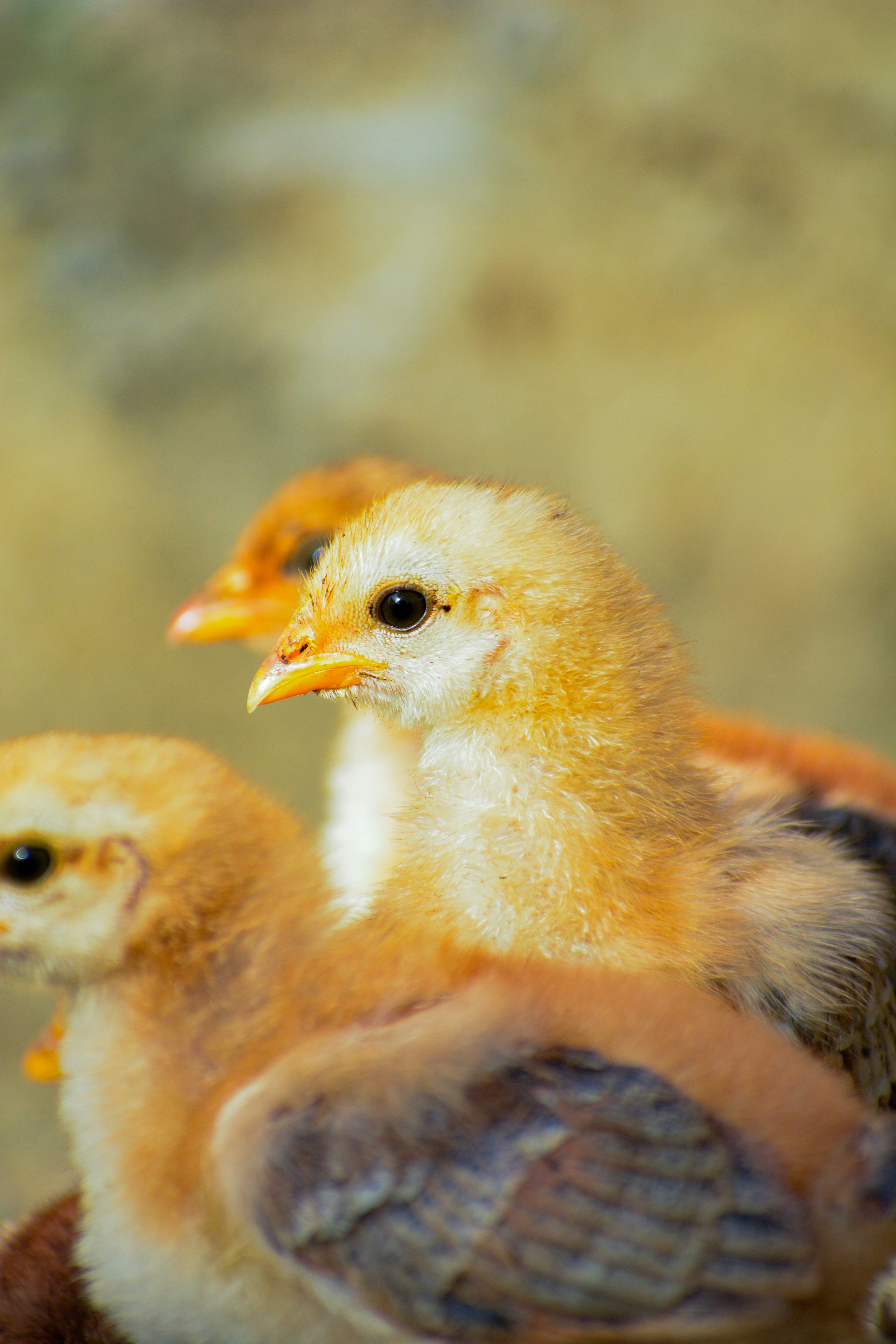 Photo by guzman123456