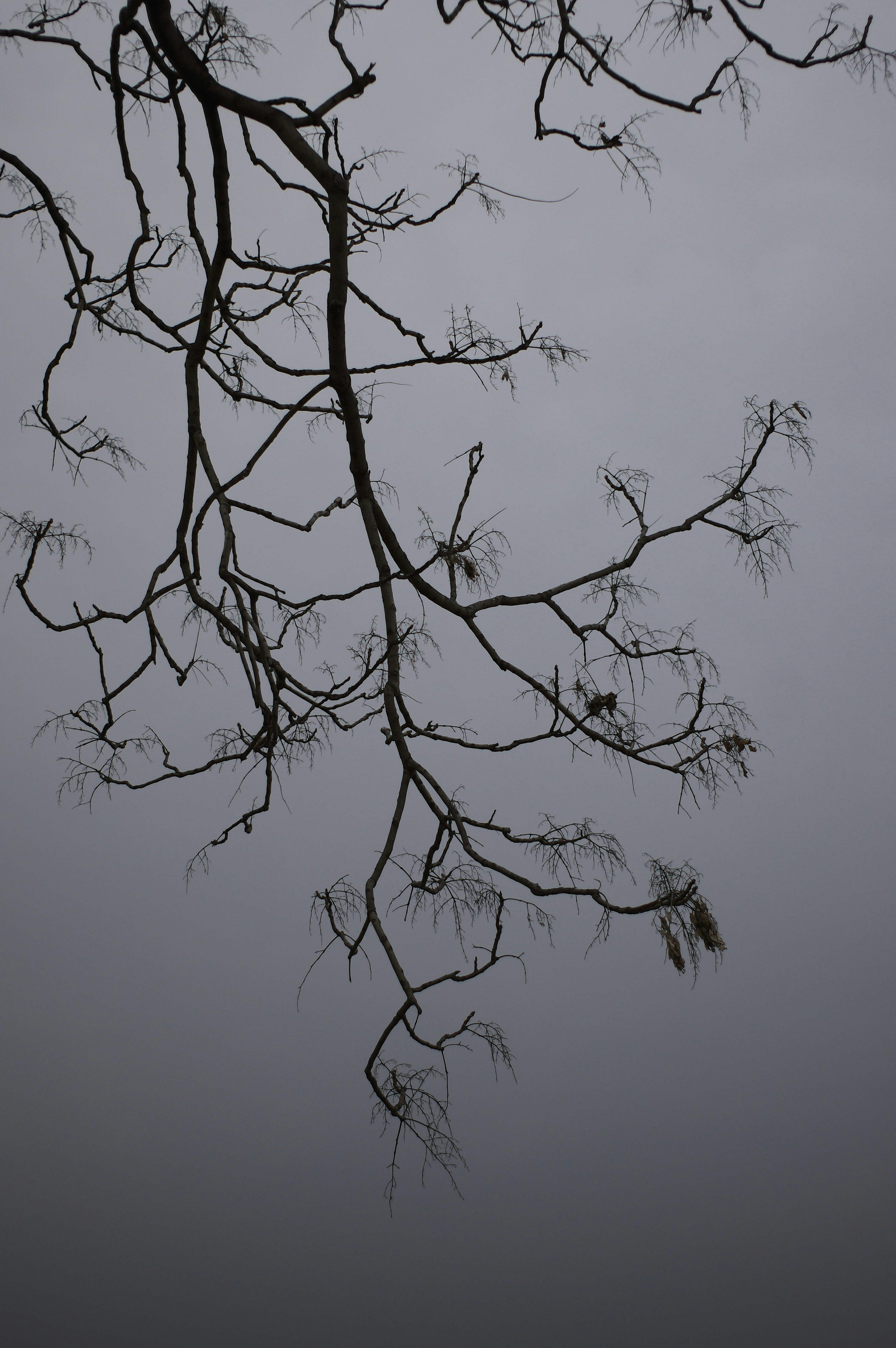 Photo by matthewlikefilm