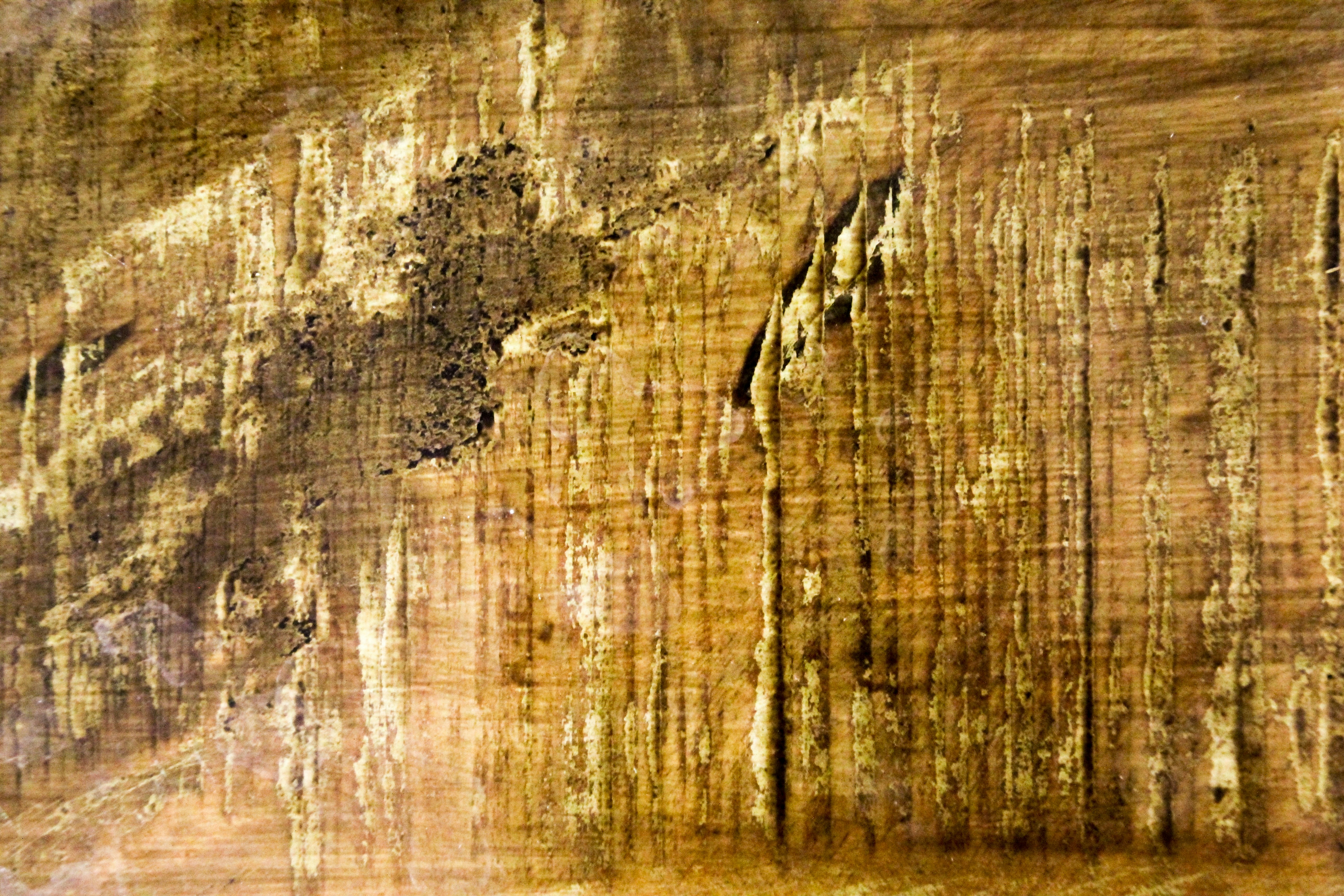 Photo by denleyphotography