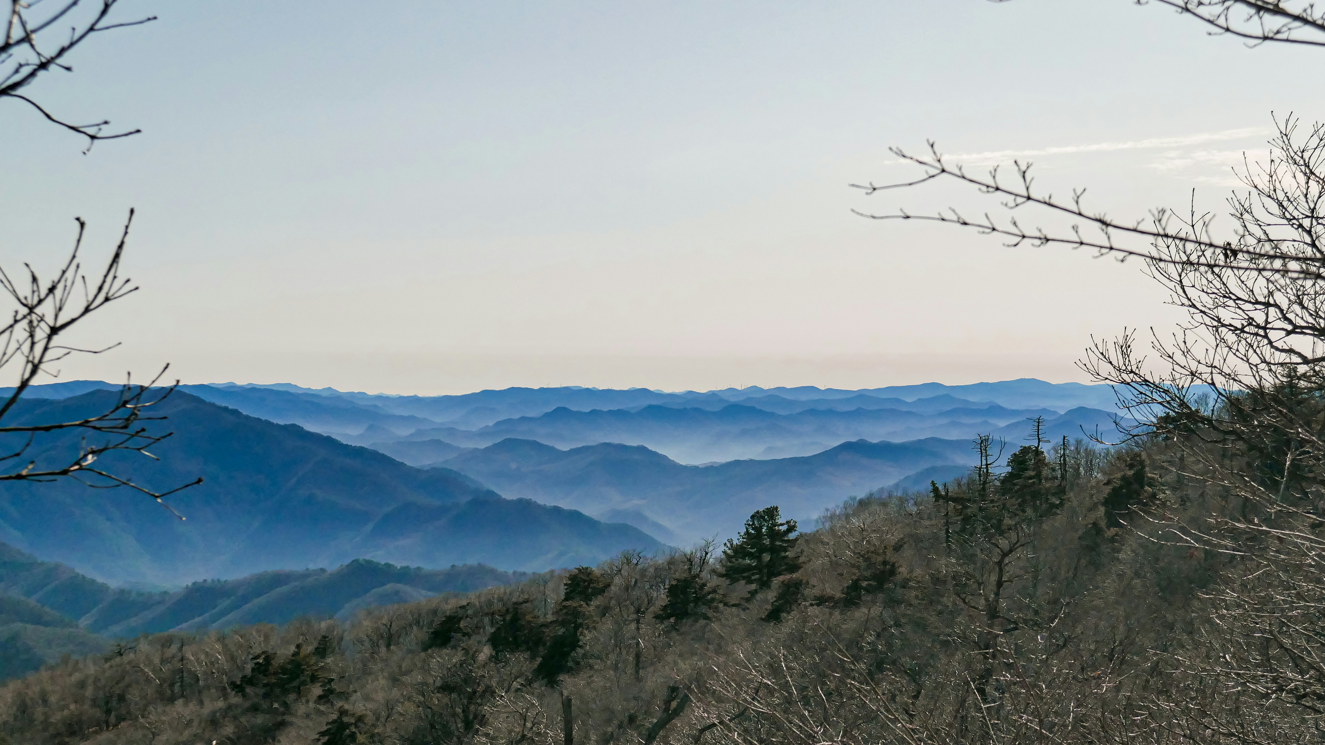 Photo by jinhan_photo