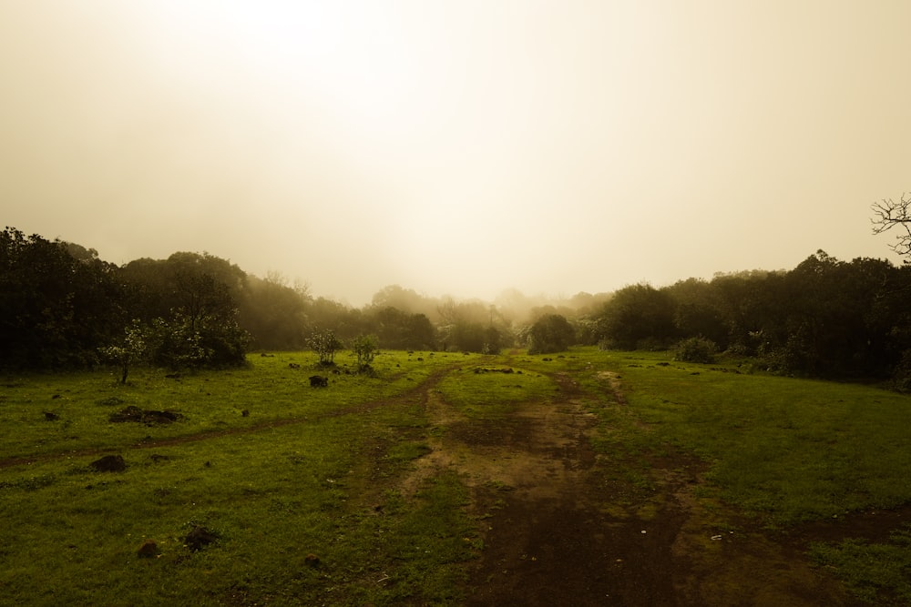 a dirt road in a field