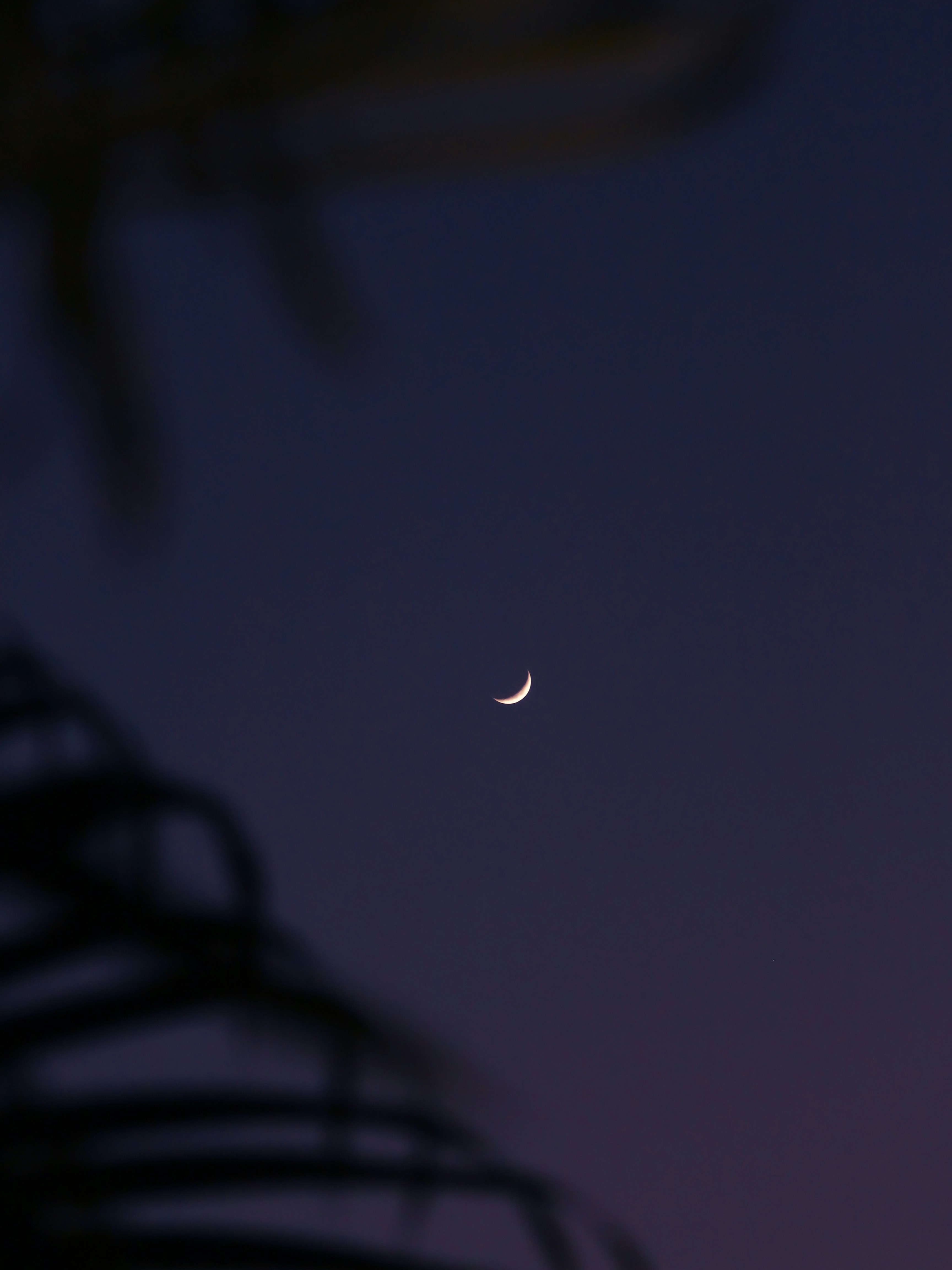 a crescent moon in the sky