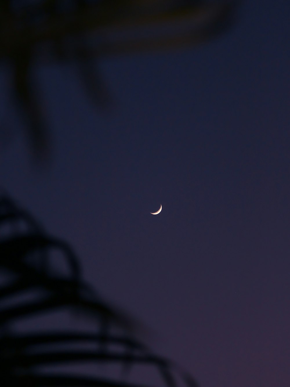 a crescent moon in the sky