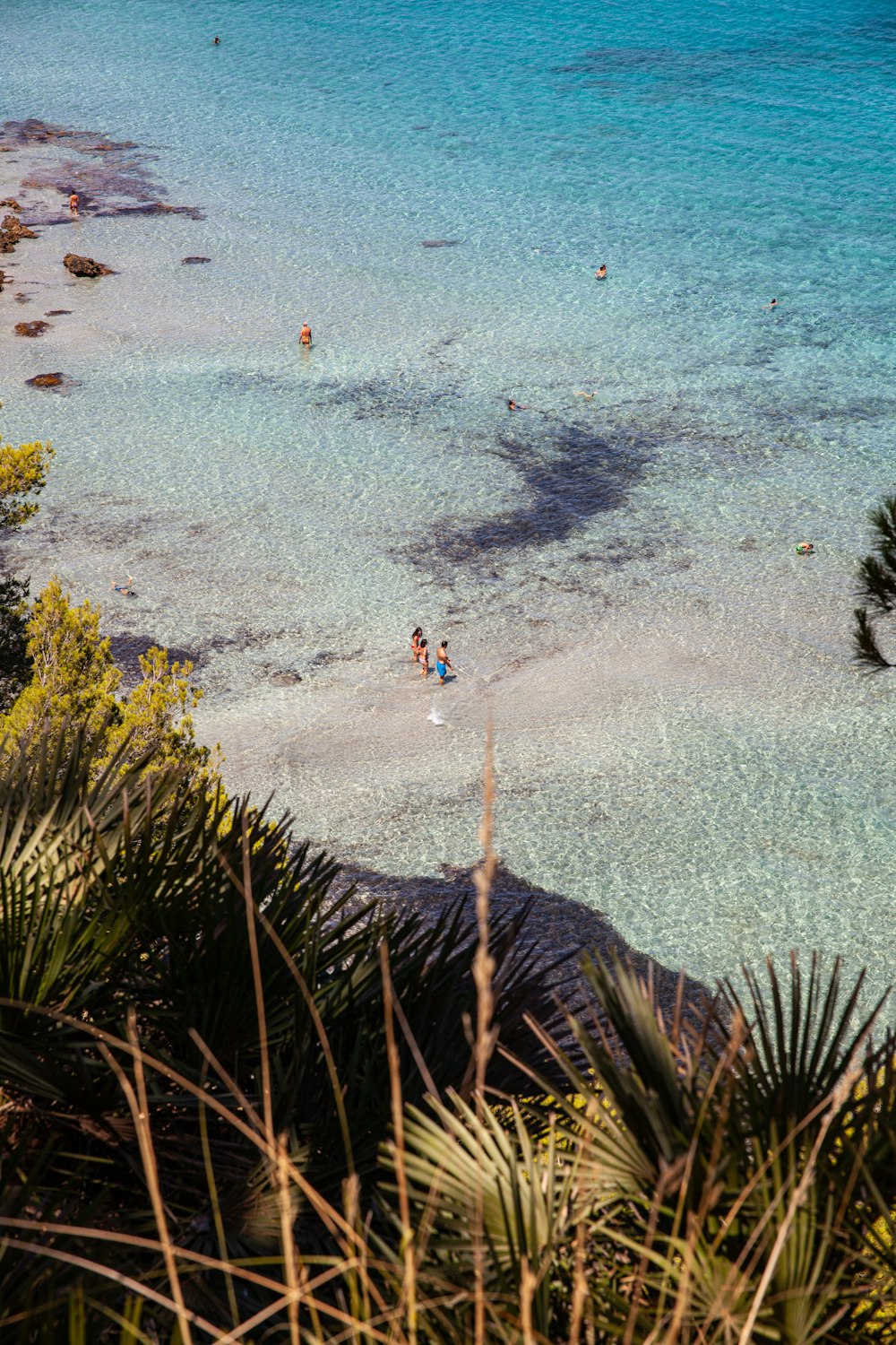 people on a beach