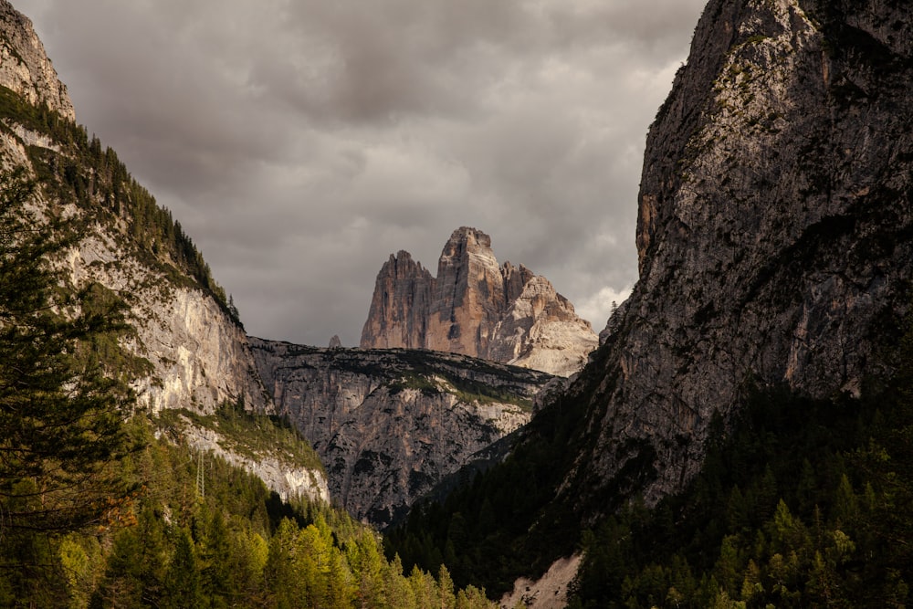 a rocky cliff with trees and a cloudy sky