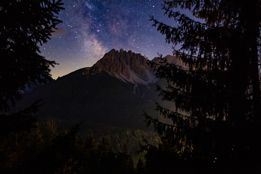 a mountain with trees in front of it