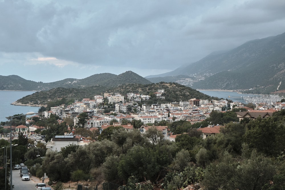 a city with trees and water in the background