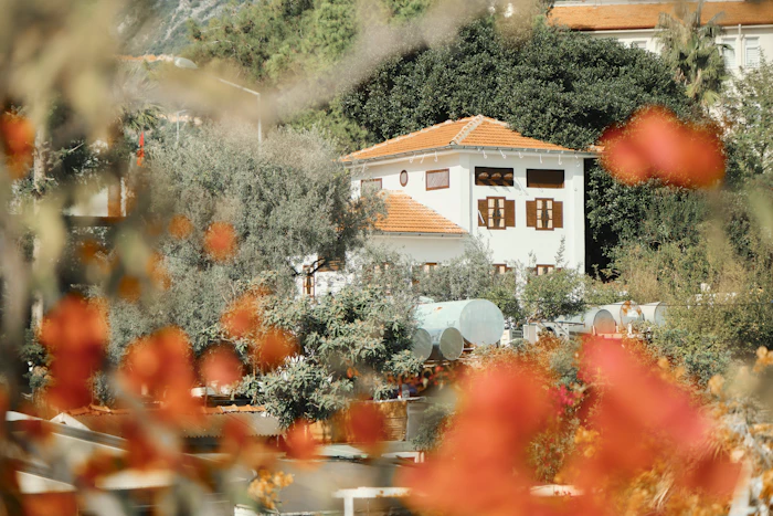 Best Budget Hostels