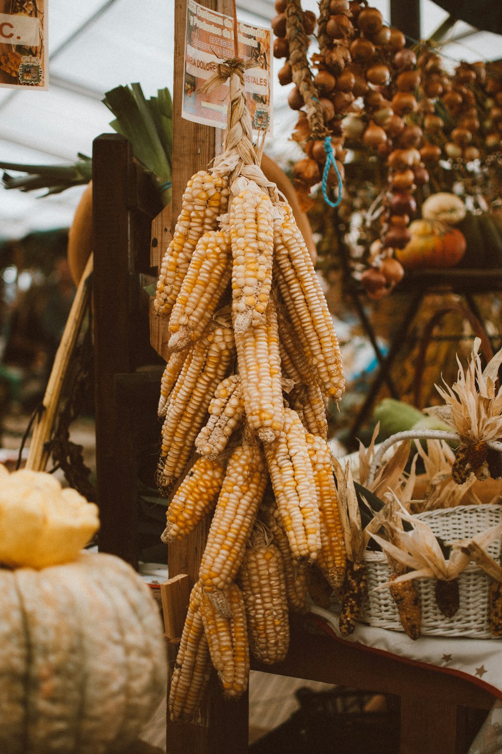 a bunch of corn on the cob