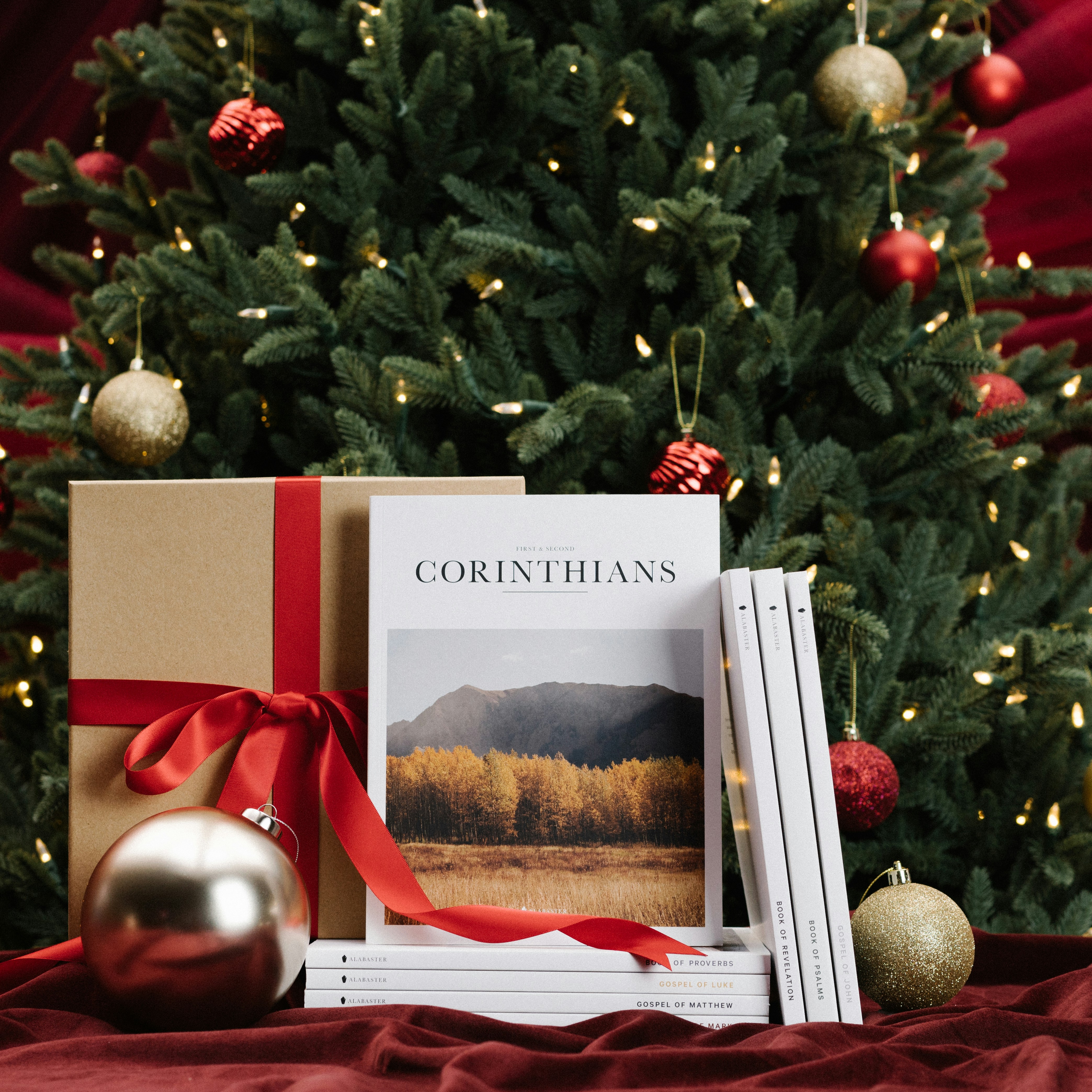 Un livre et un sapin de Noël