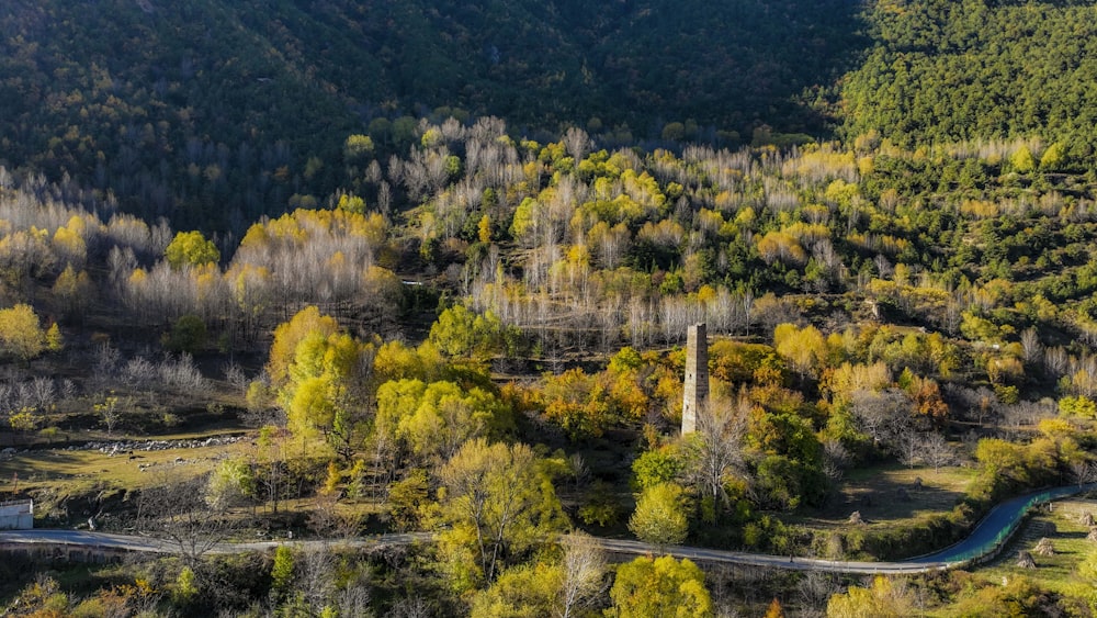 a landscape with trees and a road