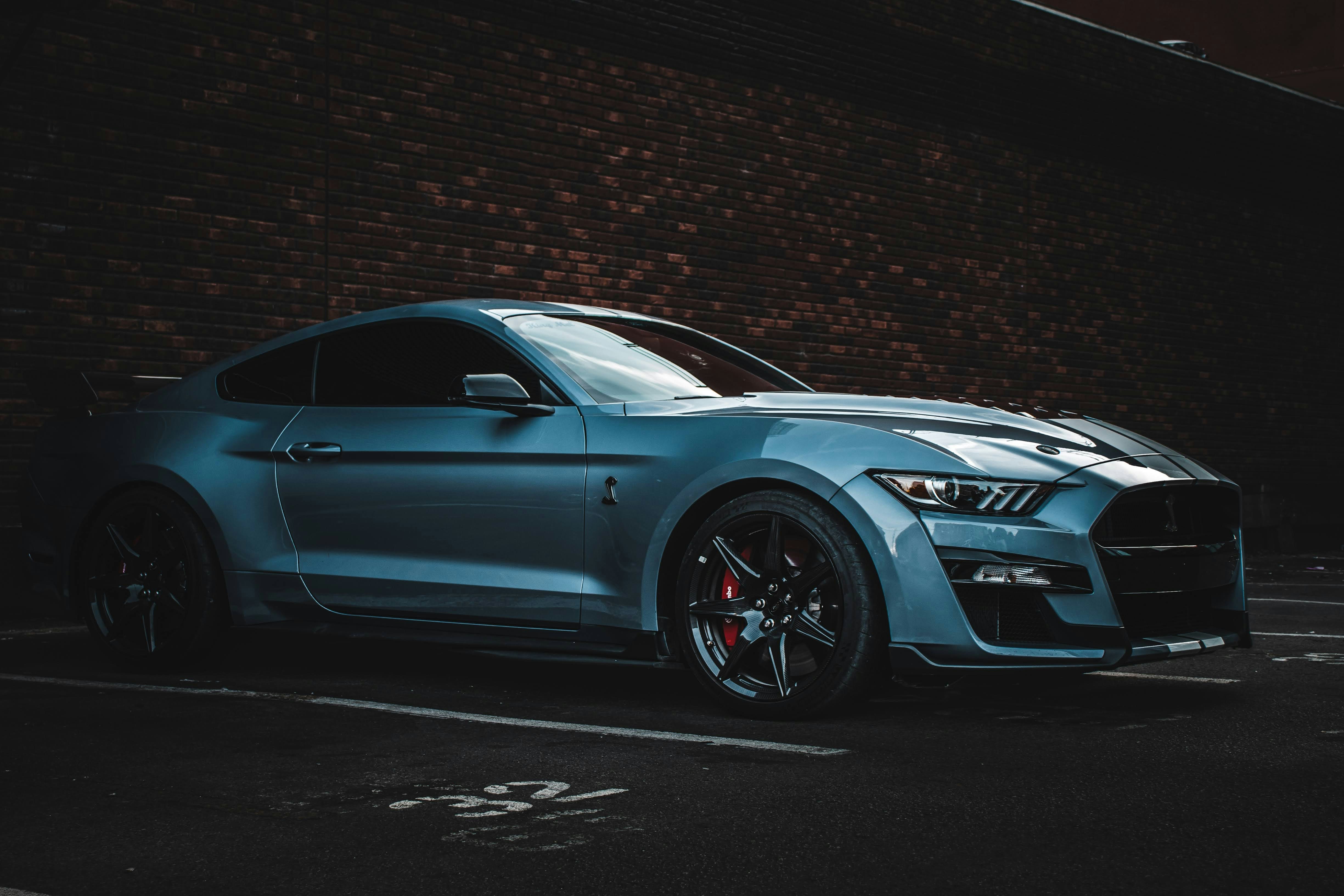 Photo by brice_cooper18