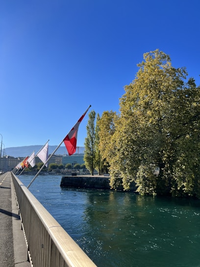 A vibrant collage featuring Zambia's Victoria Falls alongside Beijing's Forbidden City under national flags.