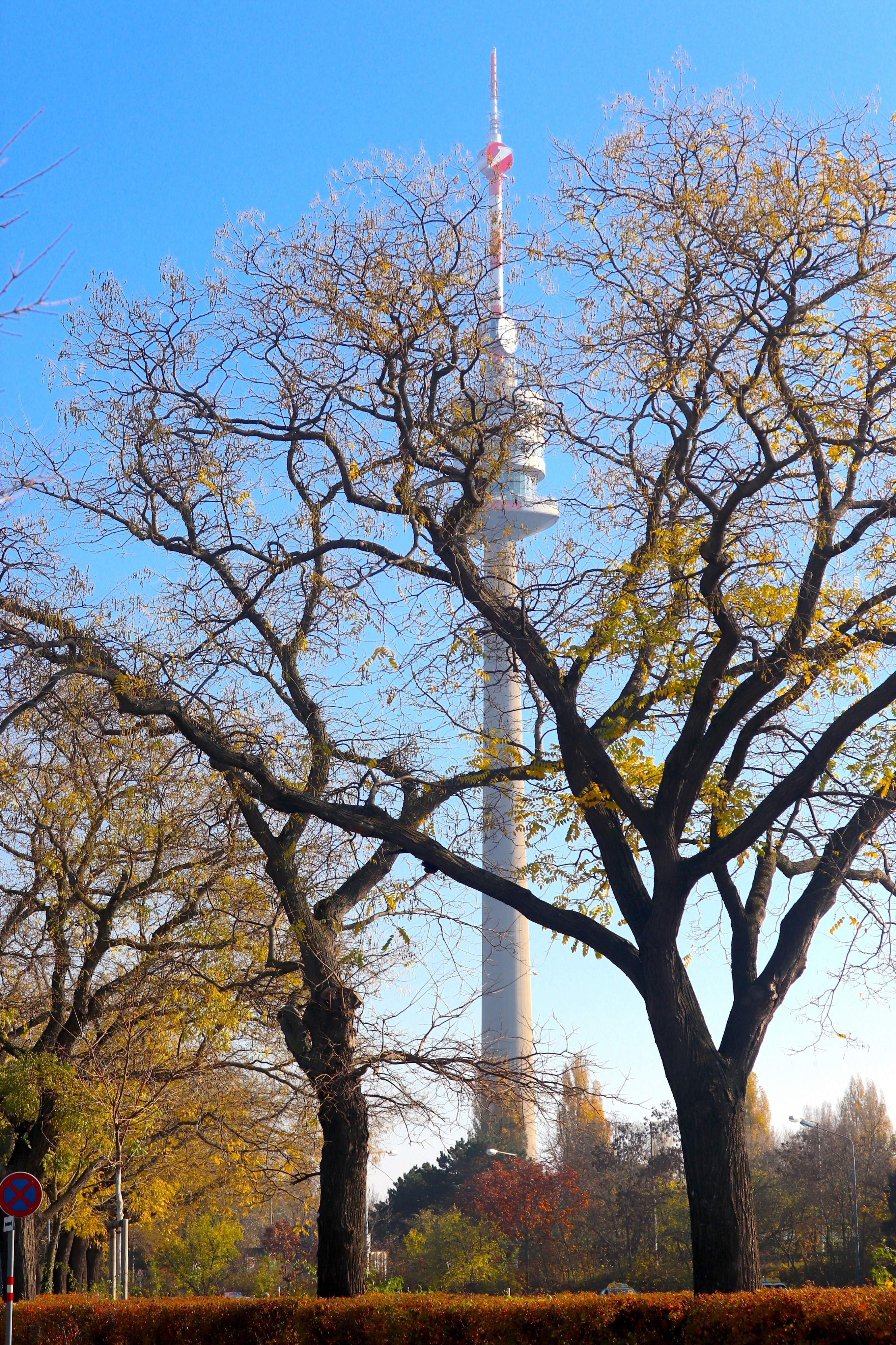 Ein hoher Turm in der Ferne