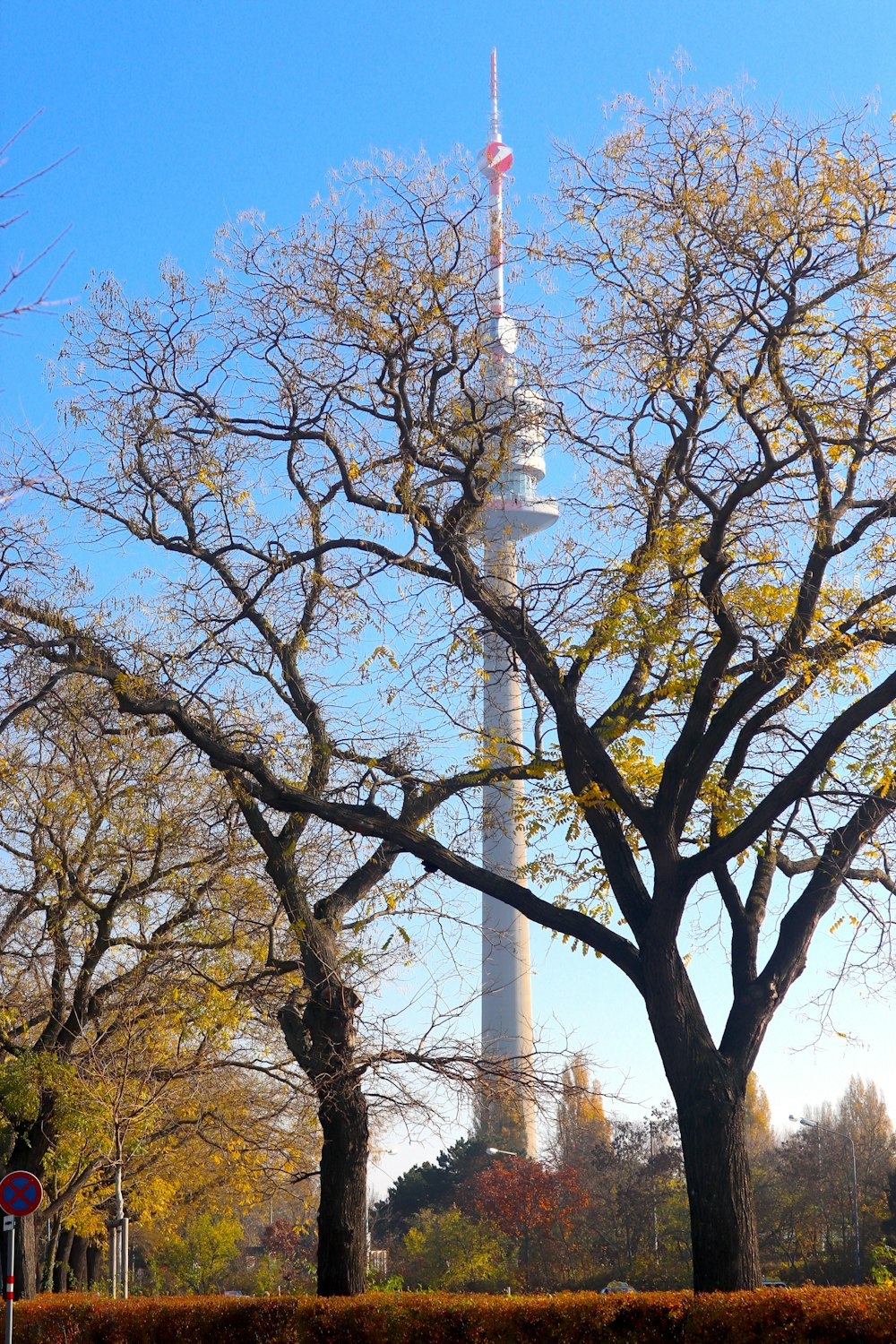 Ein hoher Turm in der Ferne