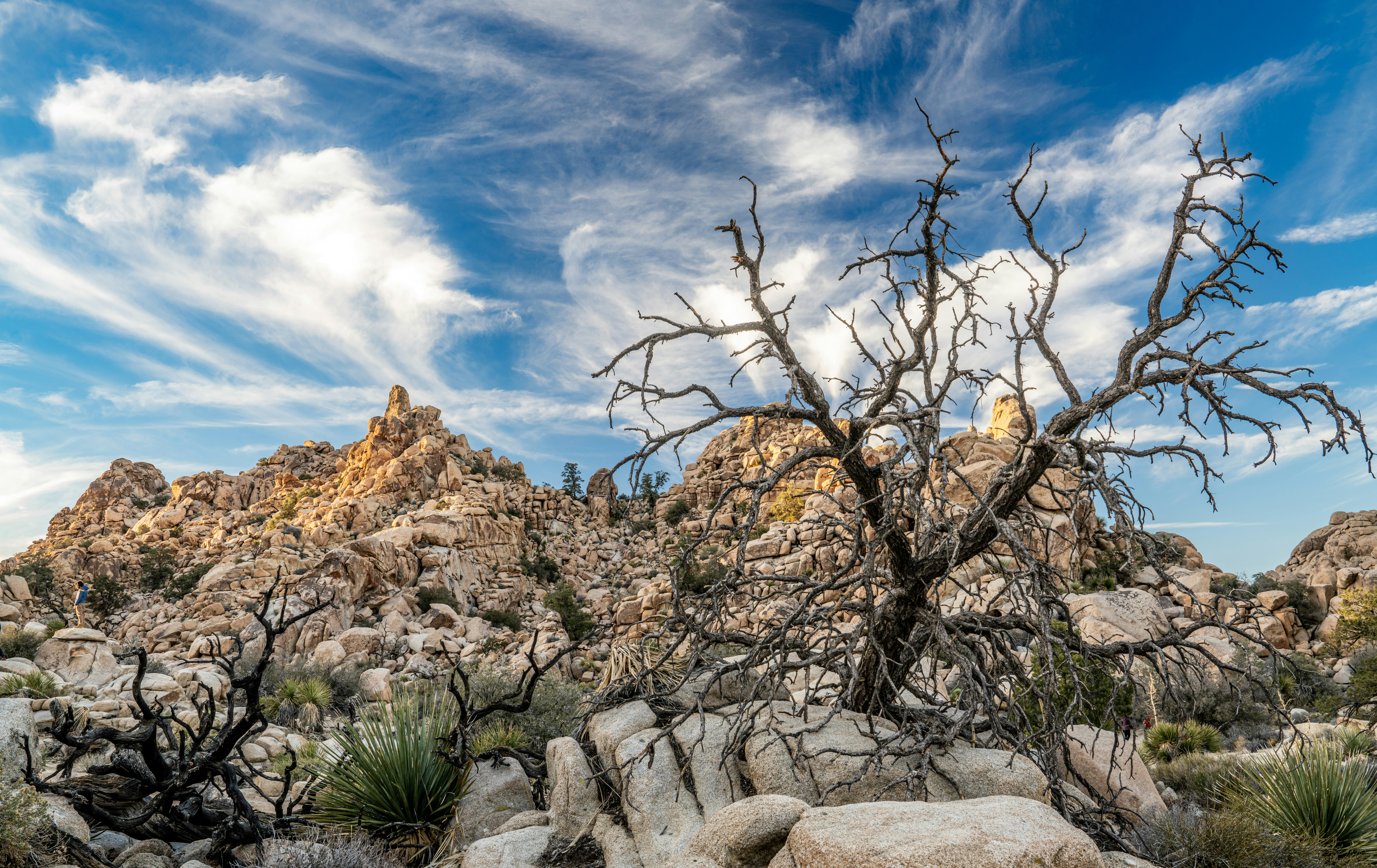 Photo by happy_pixel