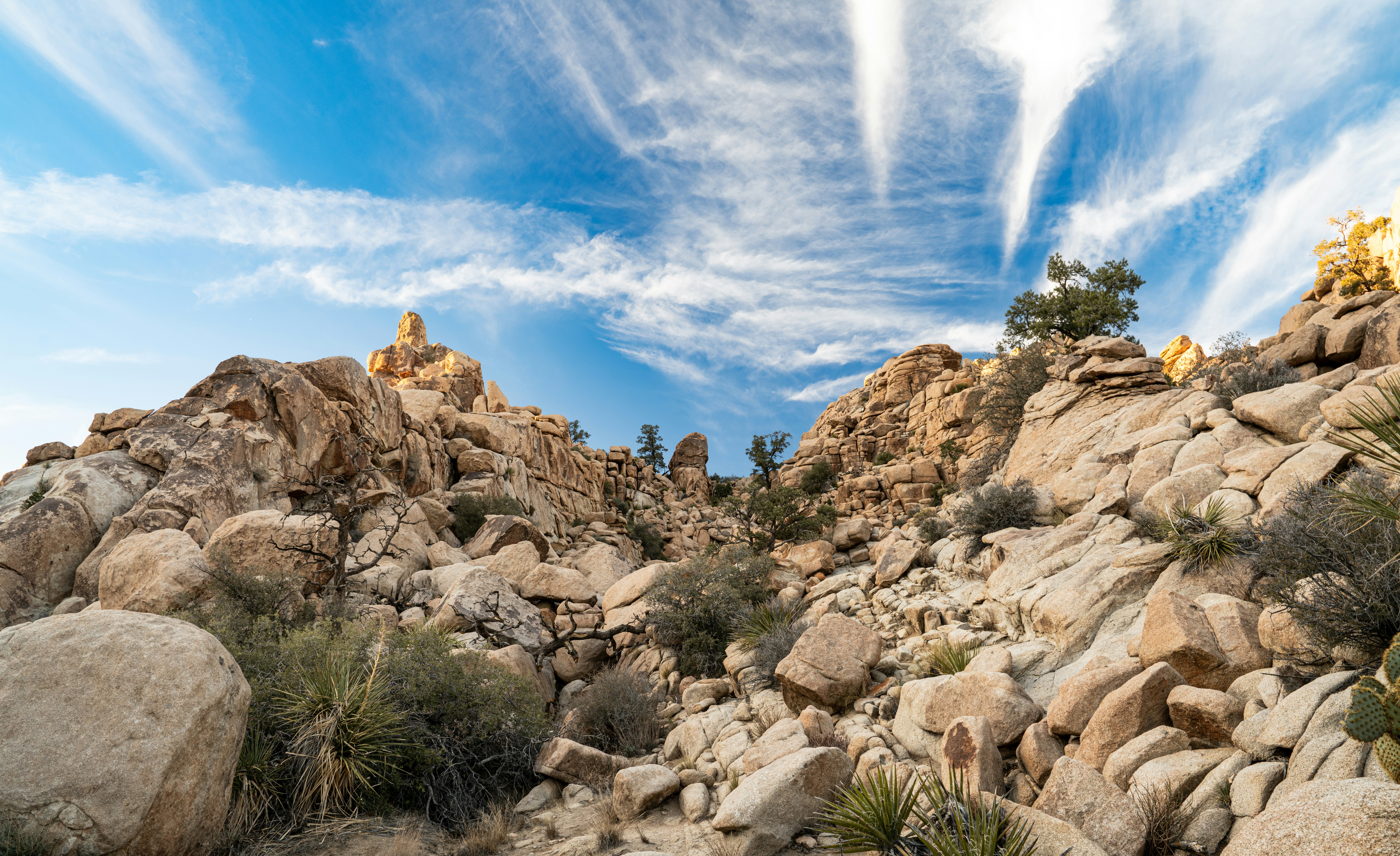 Photo by happy_pixel