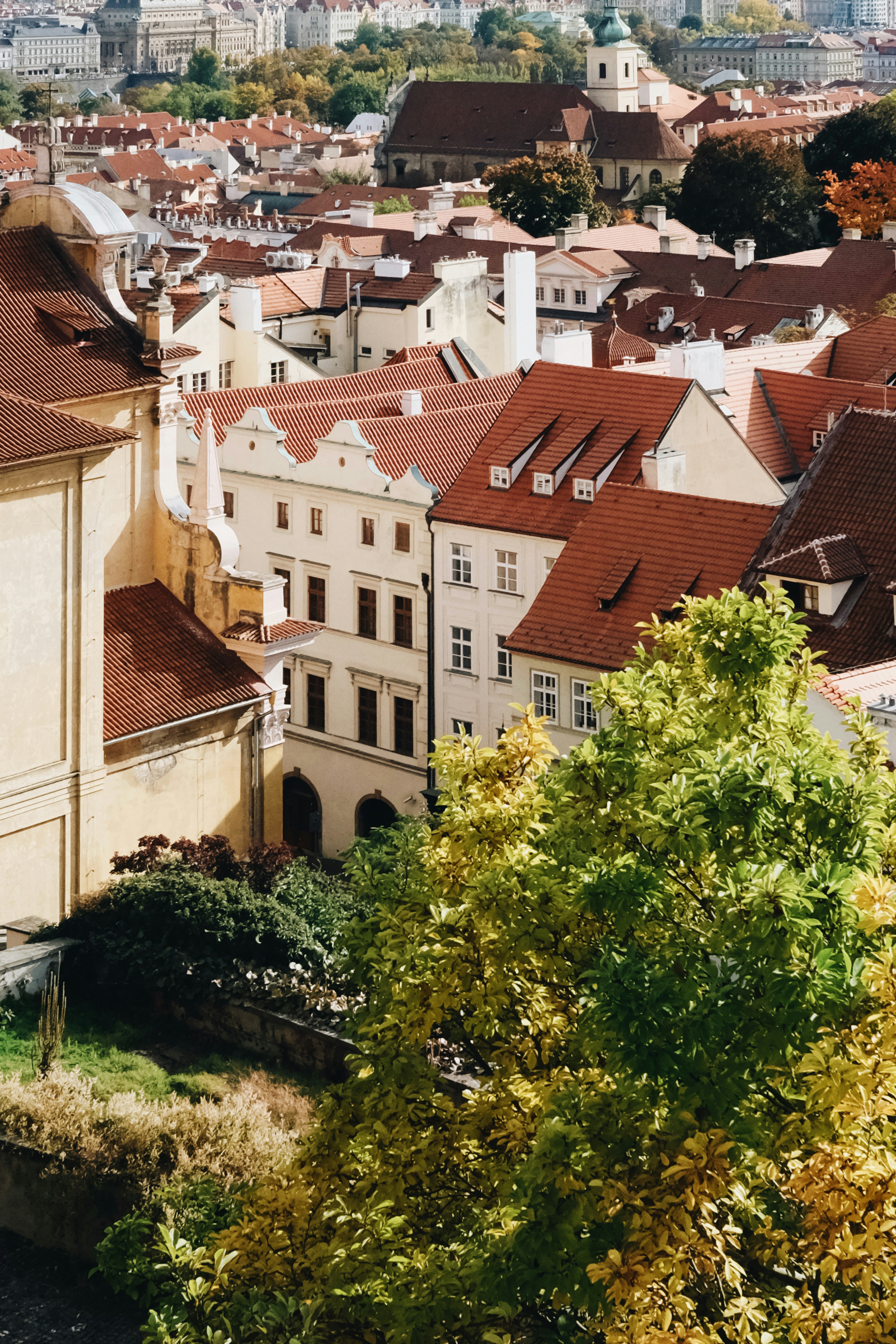 Photo by cherenkevich