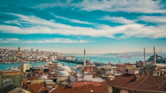 a city with a body of water in the background