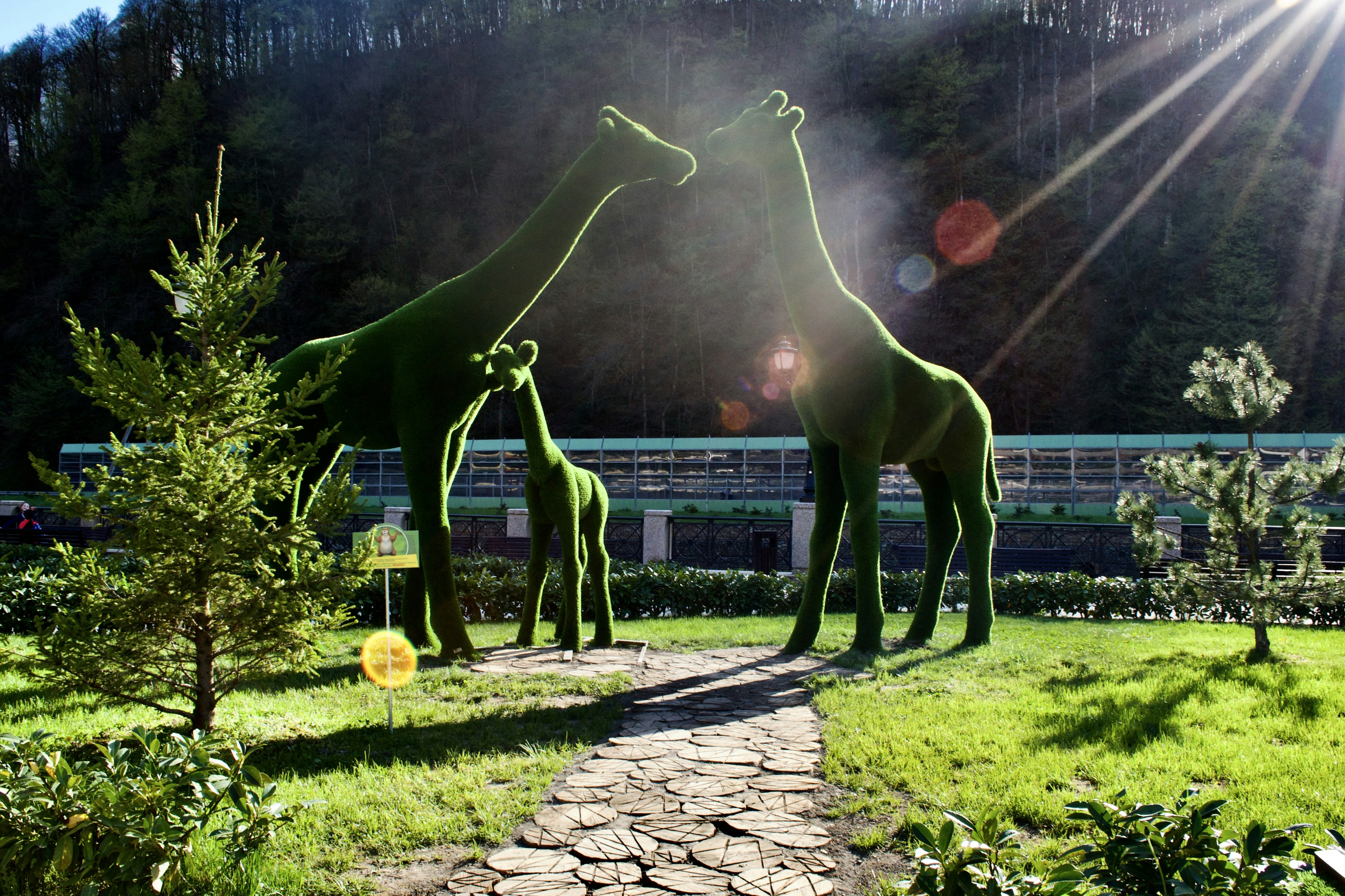 Sochi Arboretum photo 3