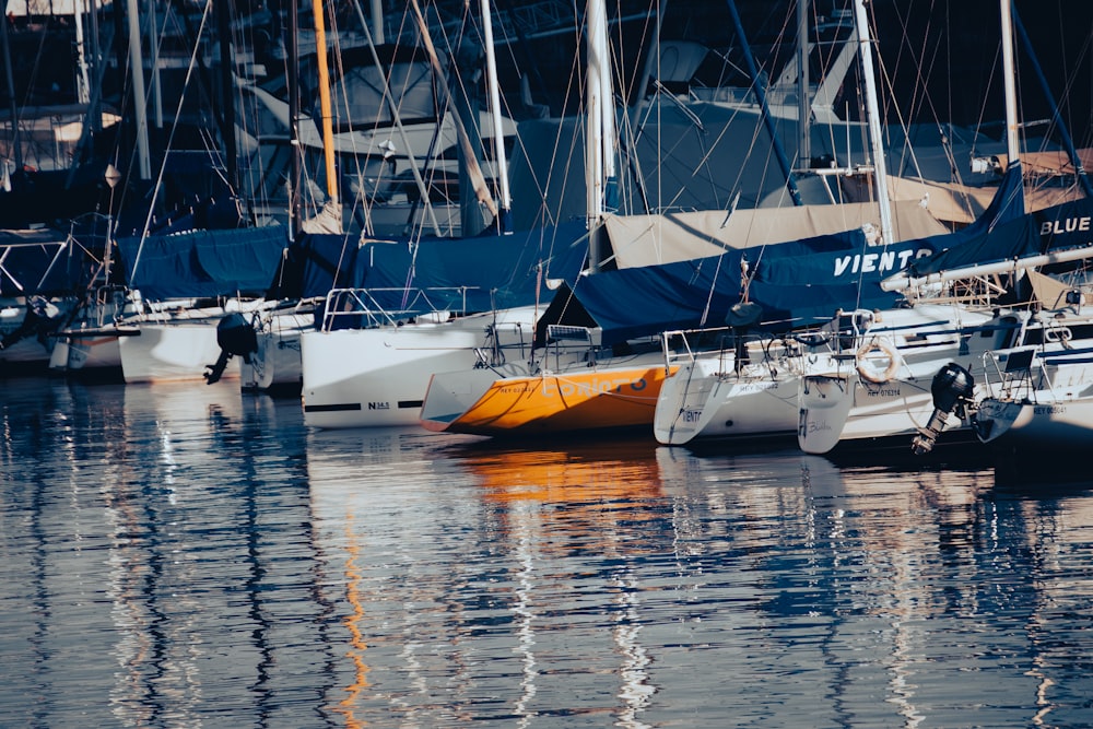 a group of boats sit in a harbor
