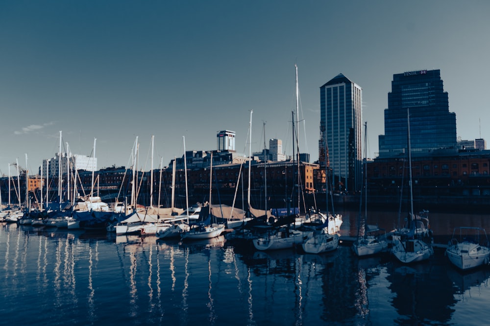 Un puerto lleno de barcos