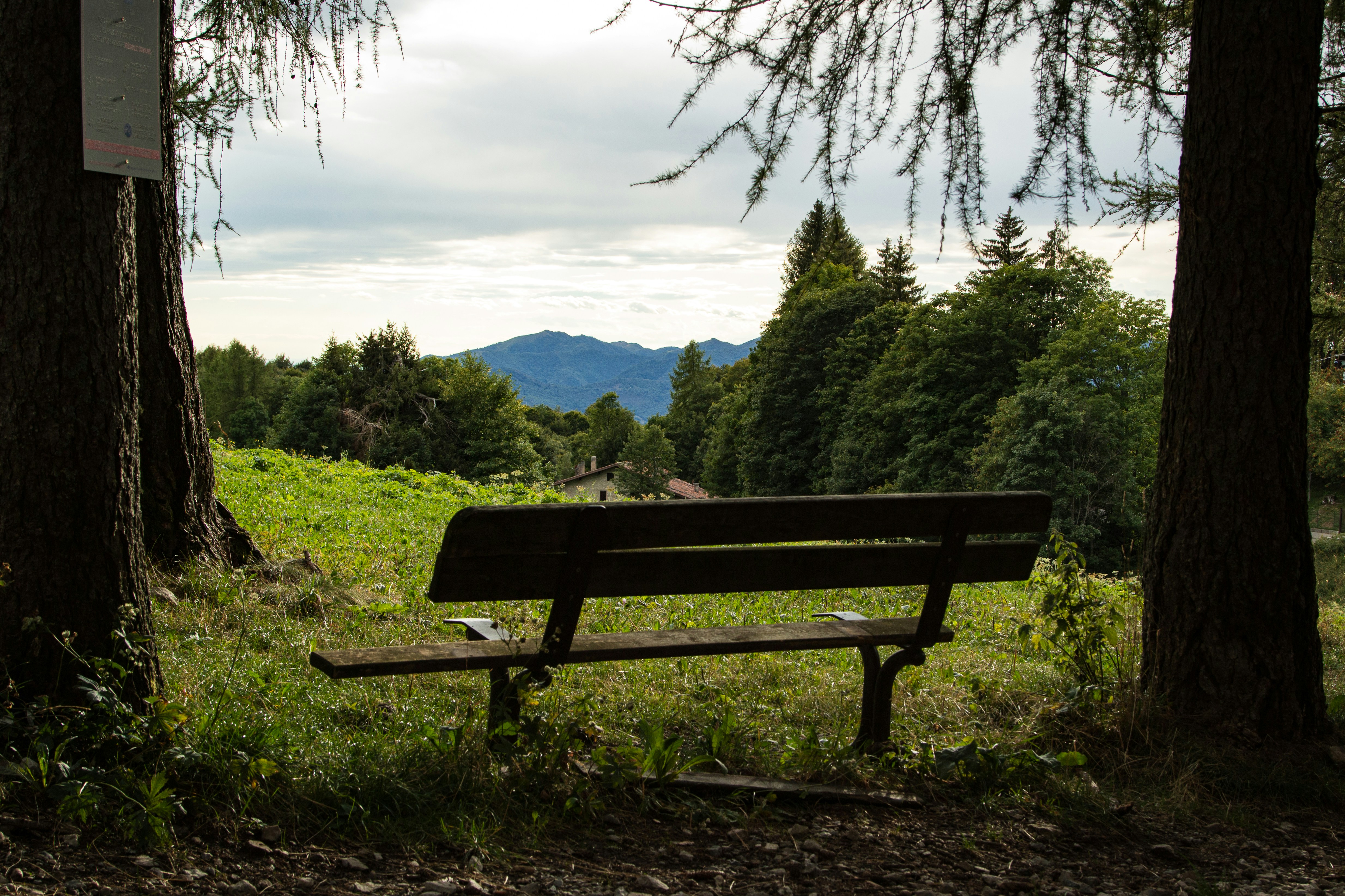 Photo by madcaplaughs