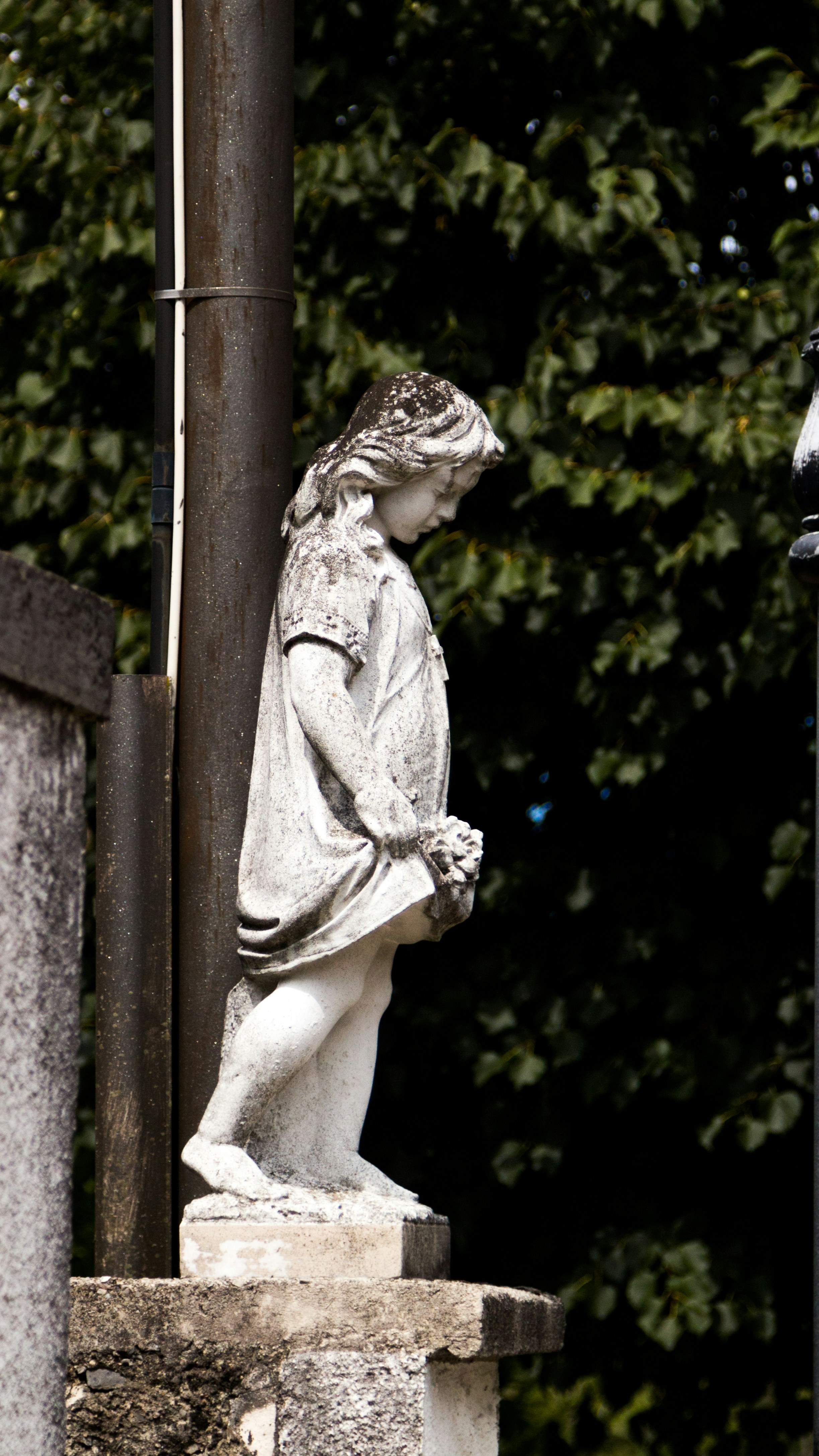 Photo by madcaplaughs