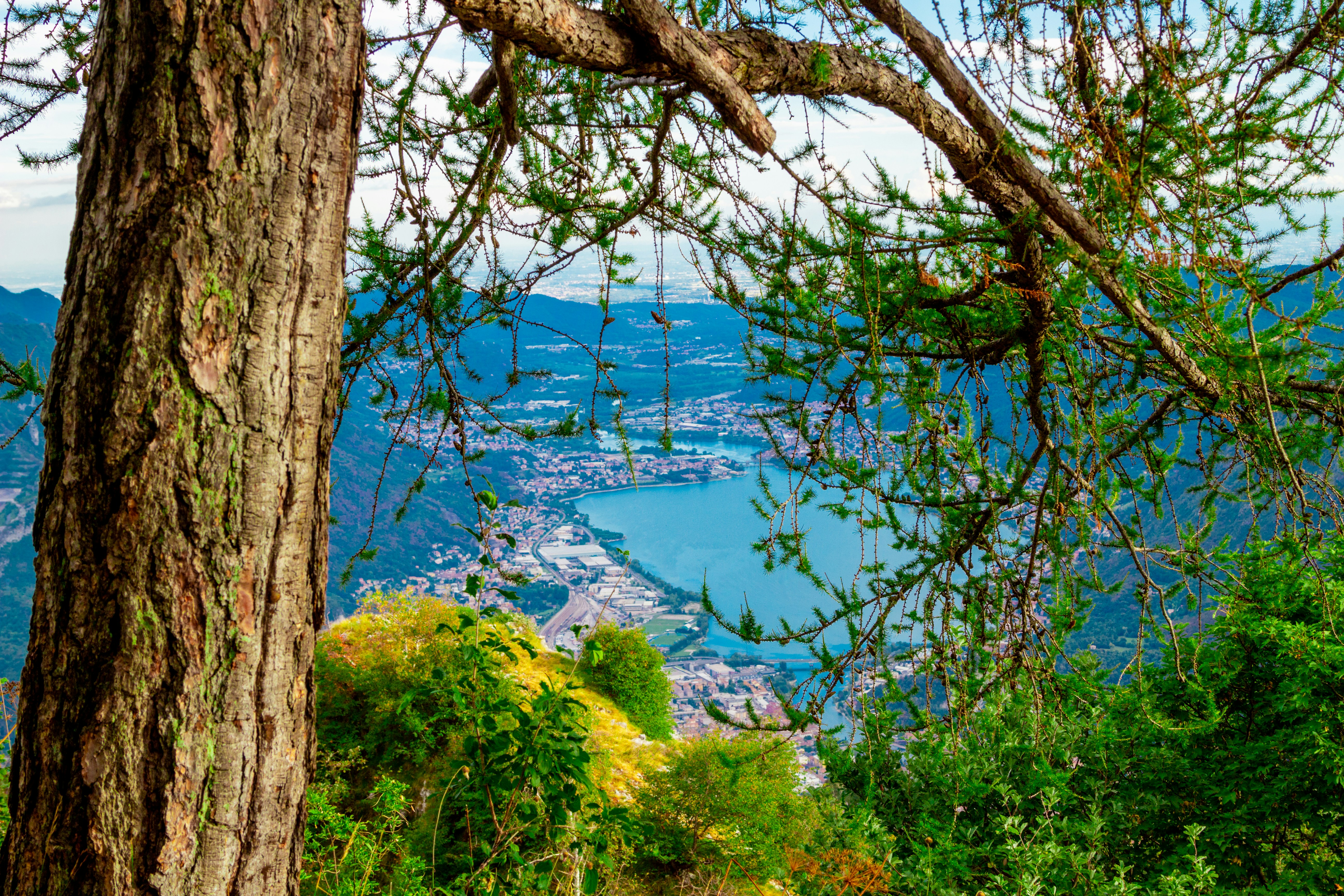 Photo by madcaplaughs