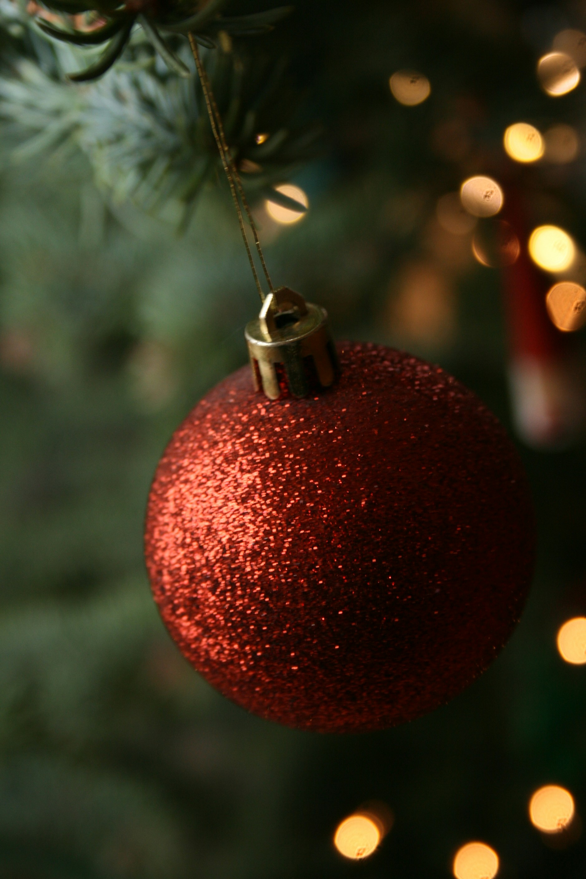 Photo by live_a_little08