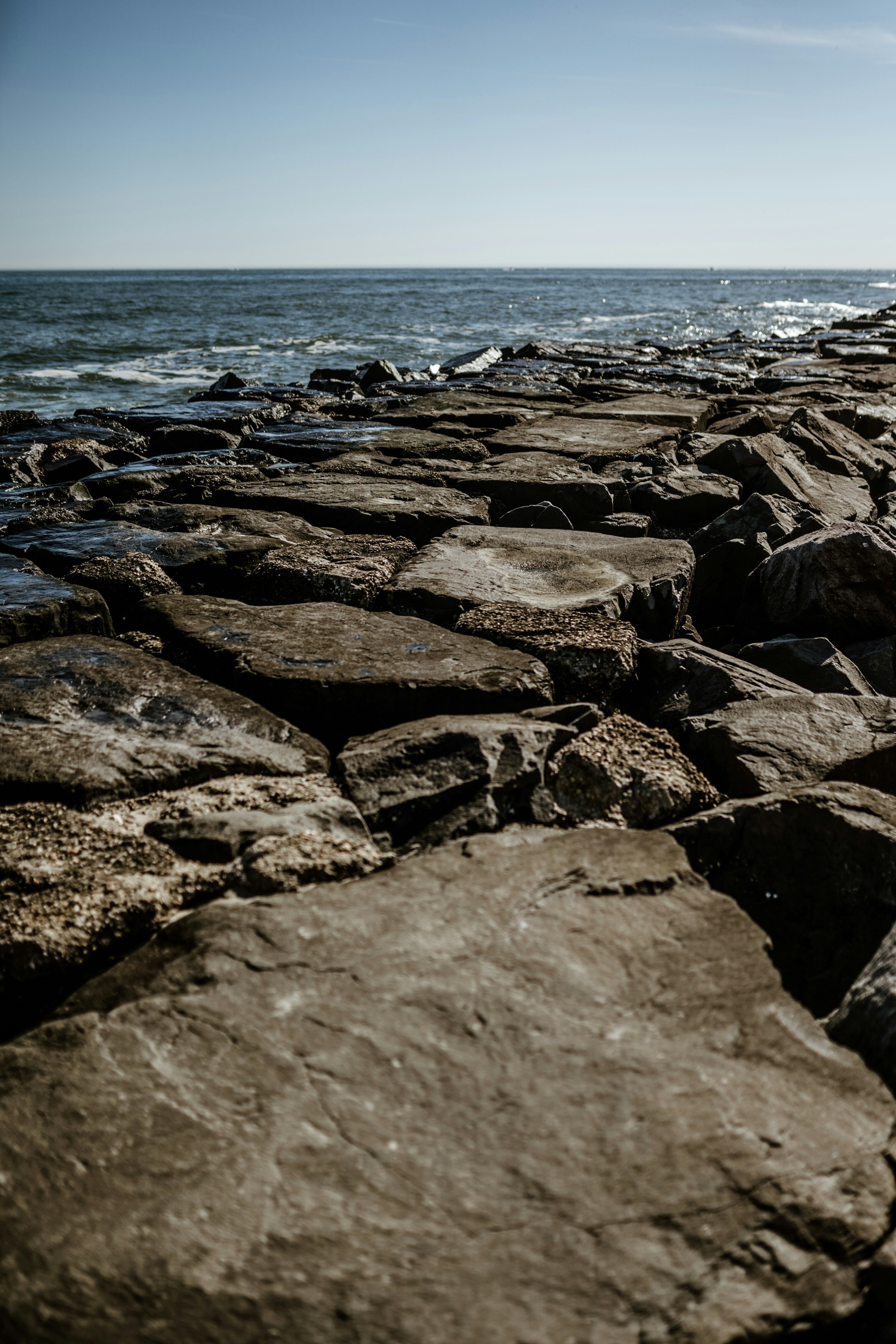 Photo by joelzar