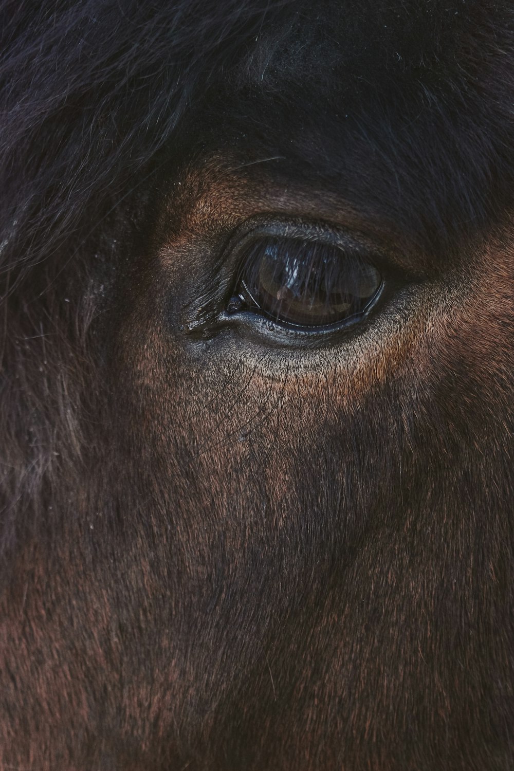 a close up of a person's eye