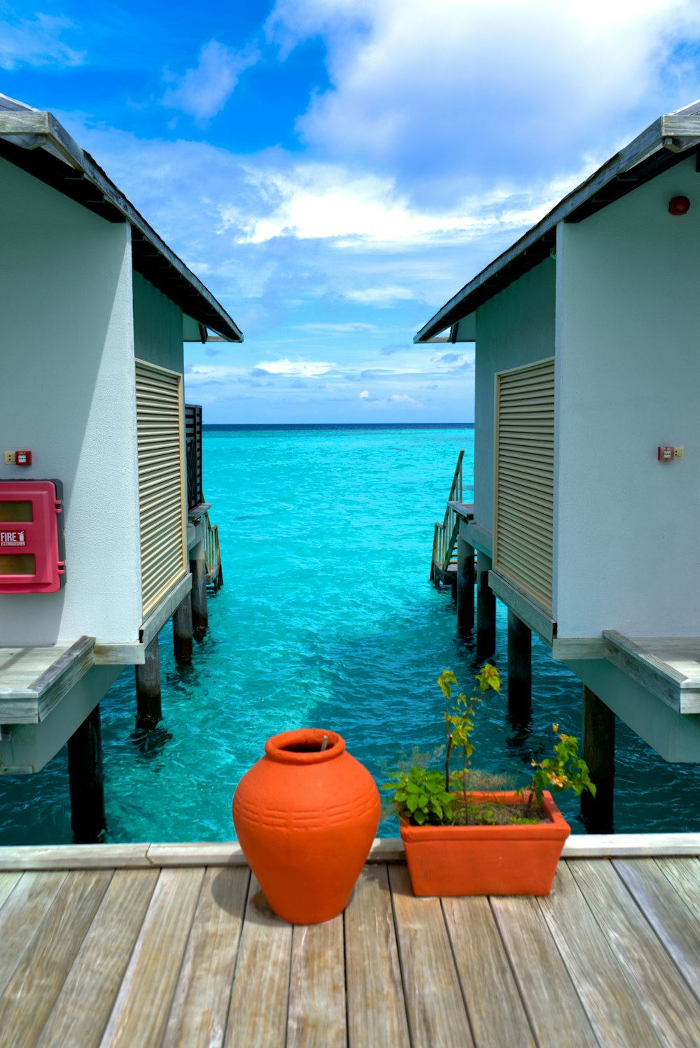 a deck with a potted plant and a body of water