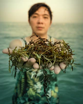 Close-up of hands holding fresh seawater with a blurred coastal forest behind.