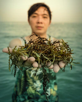 Close-up of hands holding fresh seawater with a blurred coastal forest behind.